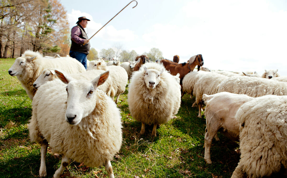 The LORD is my Shepherd; Psalm 23