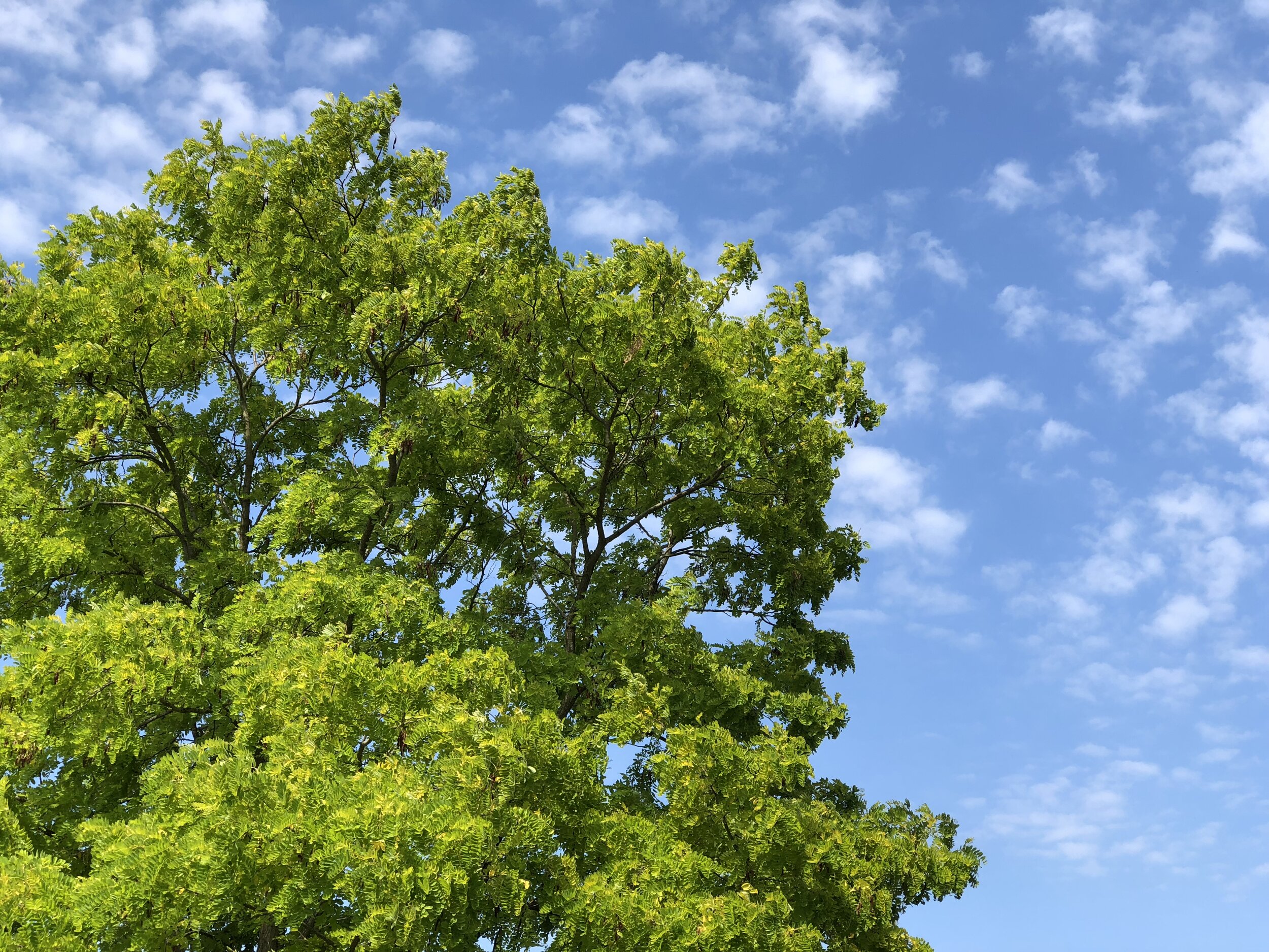 Hook Devotional at 11ish - Fri 8th May: #37. 'Listen!'