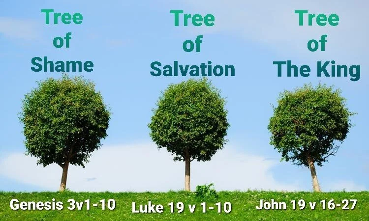 Virtual Camp Feedback