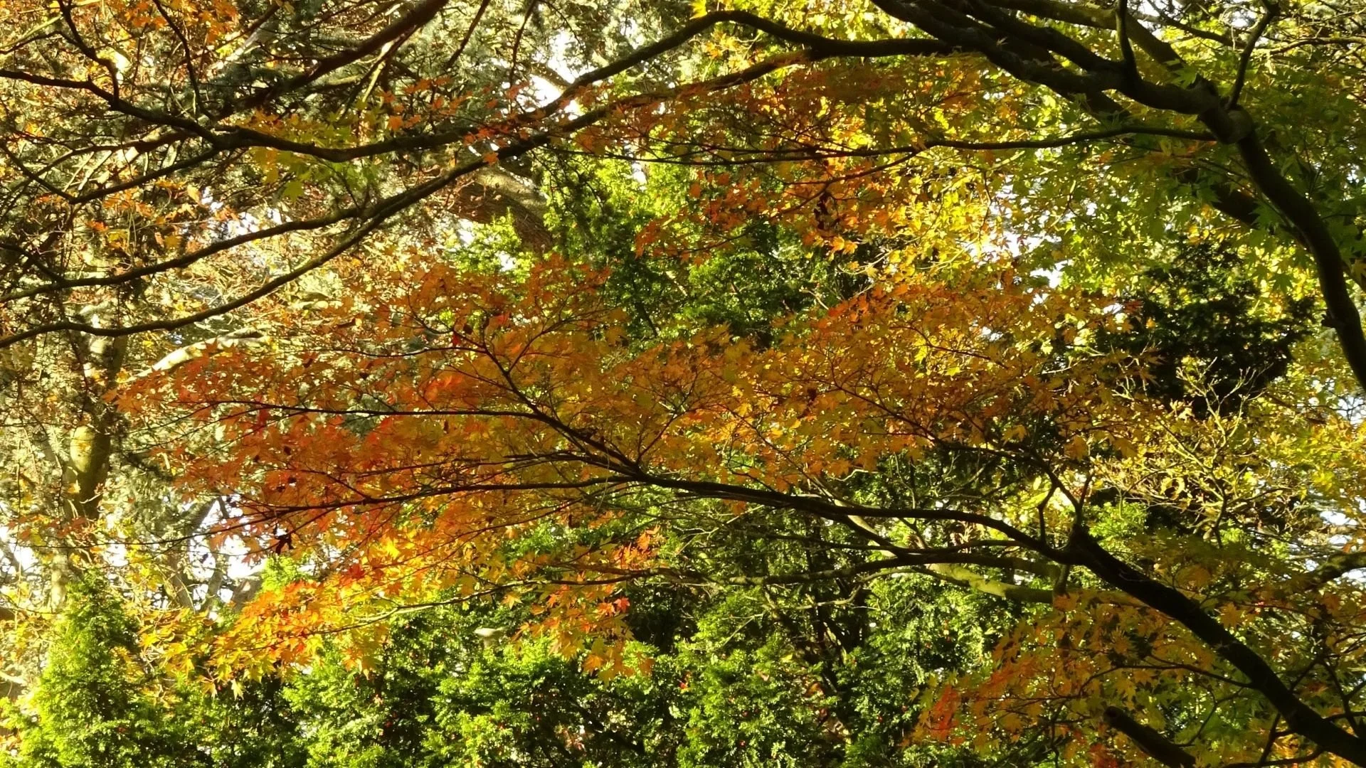 Hook Newsletter  - Oct 2024     