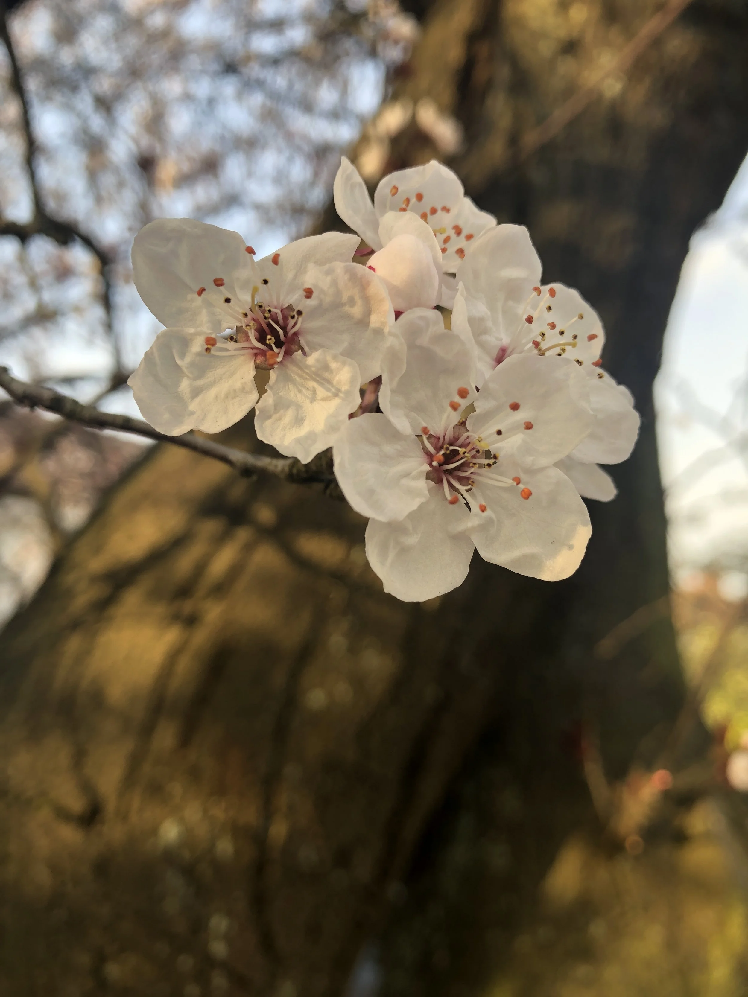 Hook Newsletter  - May 2026