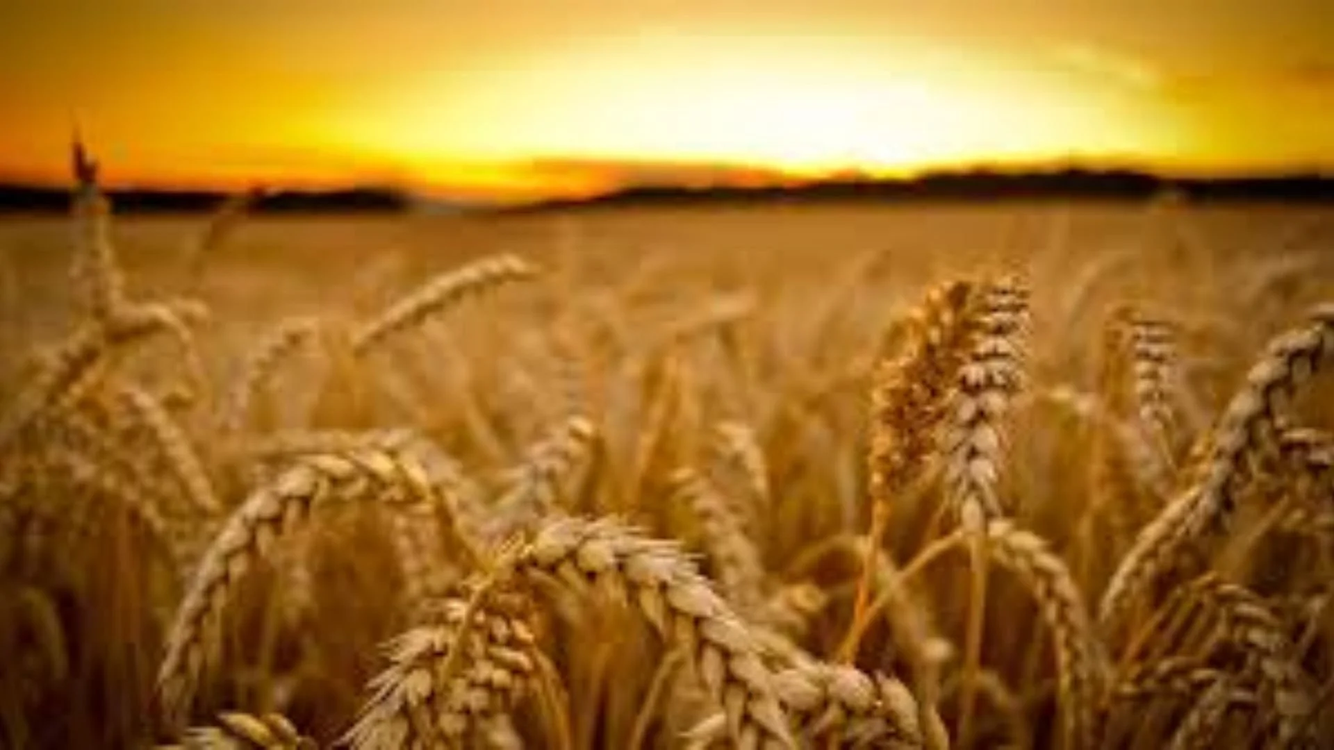 Hook Newsletter  - October 2026 