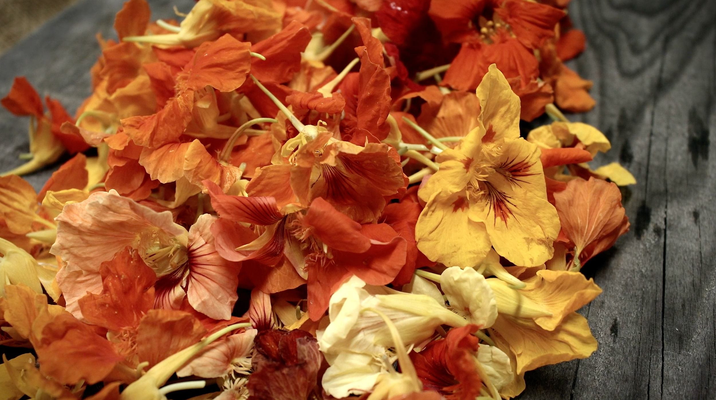 Screenshot 2025-10-27 at 09.21.09.png