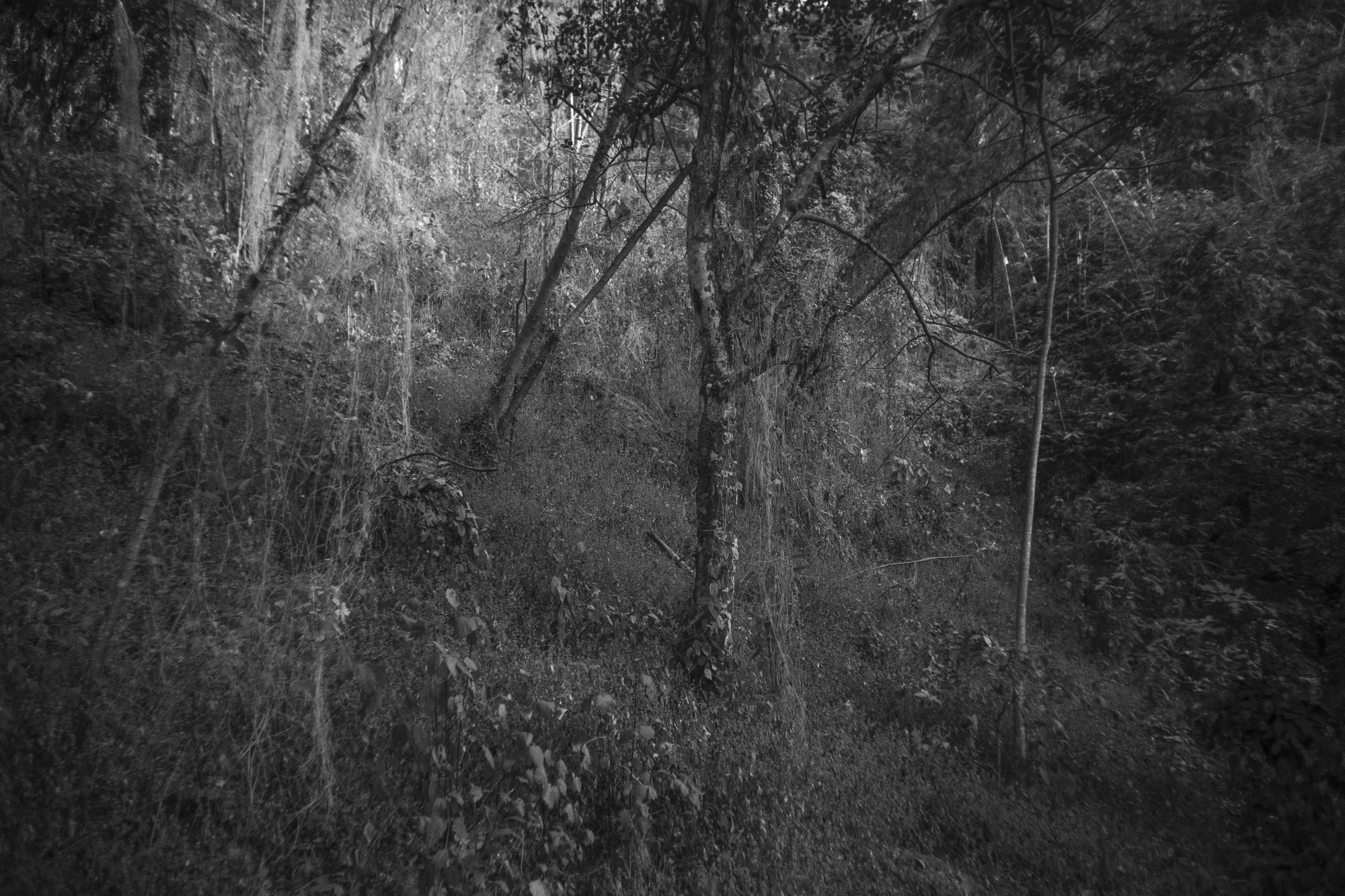 prise de vue sans titre-2857.jpg
