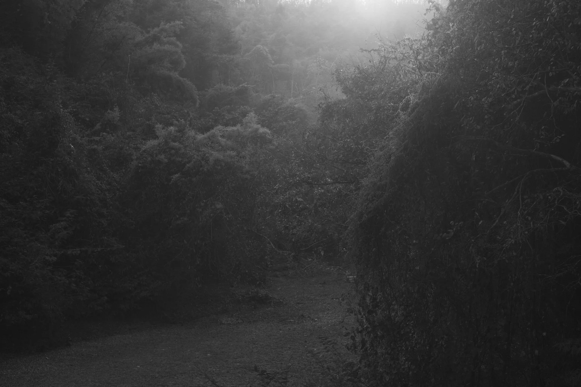 prise de vue sans titre-3060.jpg