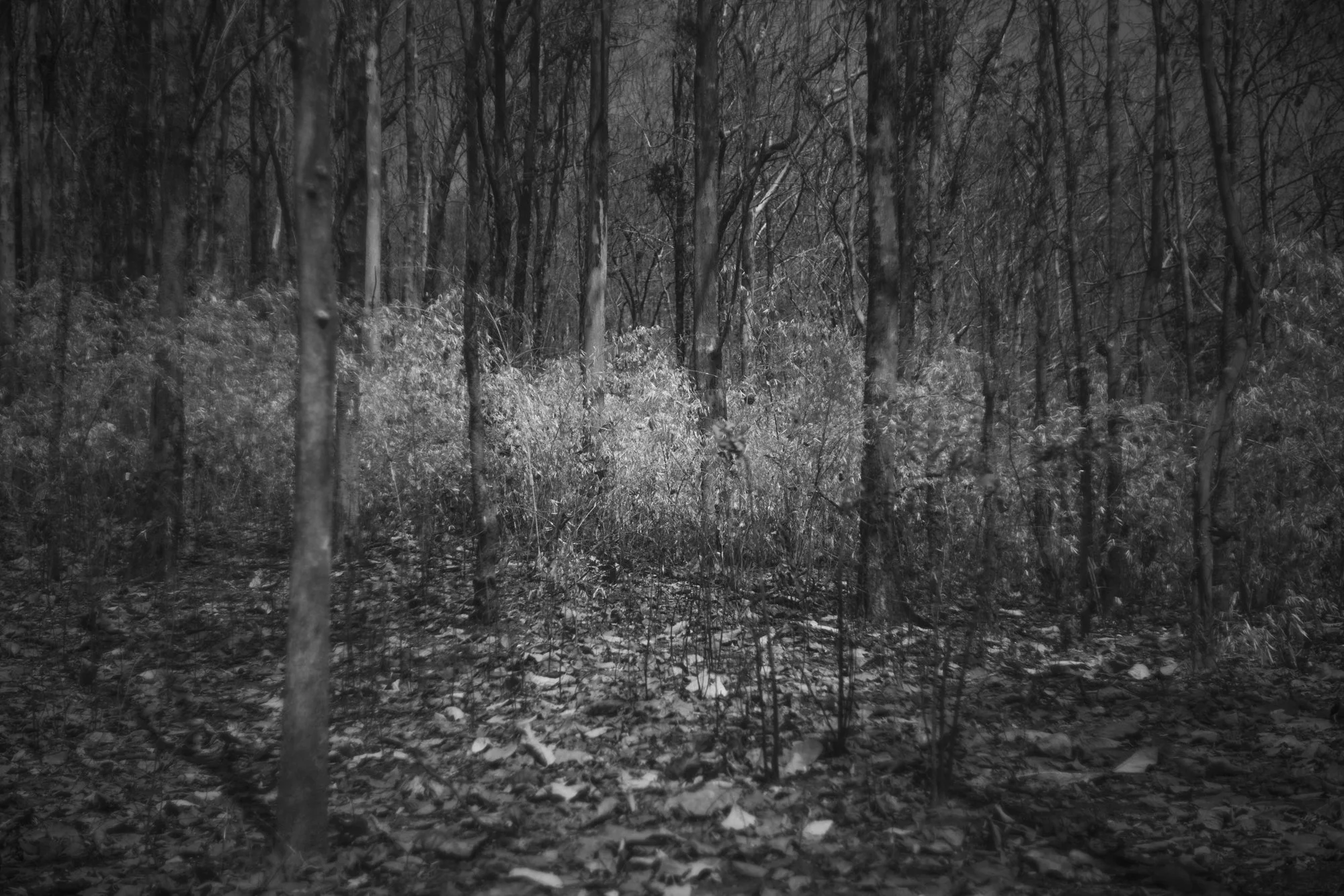 prise de vue sans titre-3260.jpg