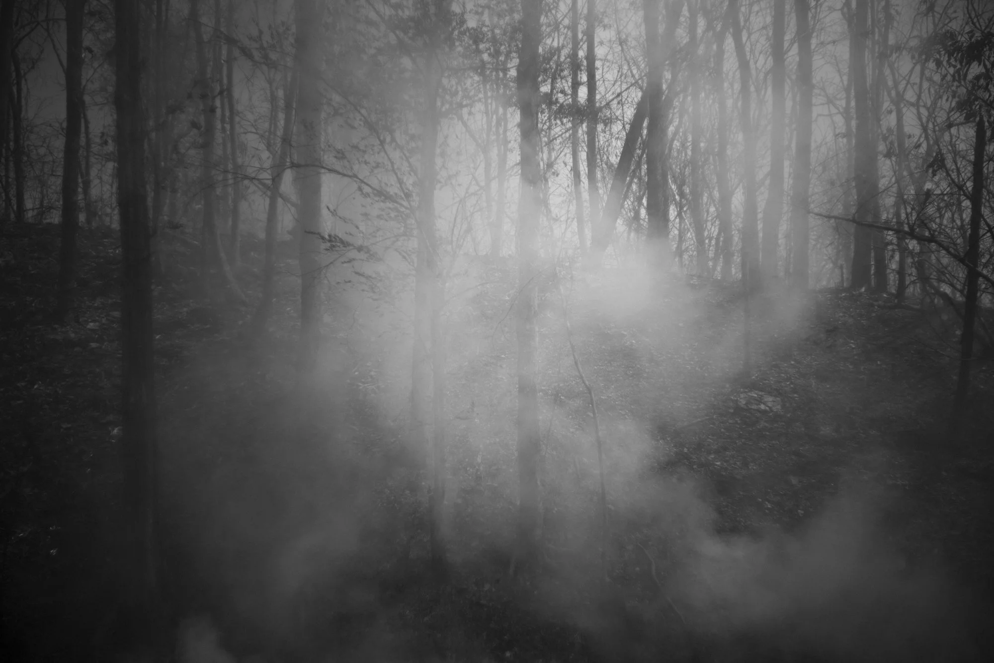 prise de vue sans titre-3295.jpg