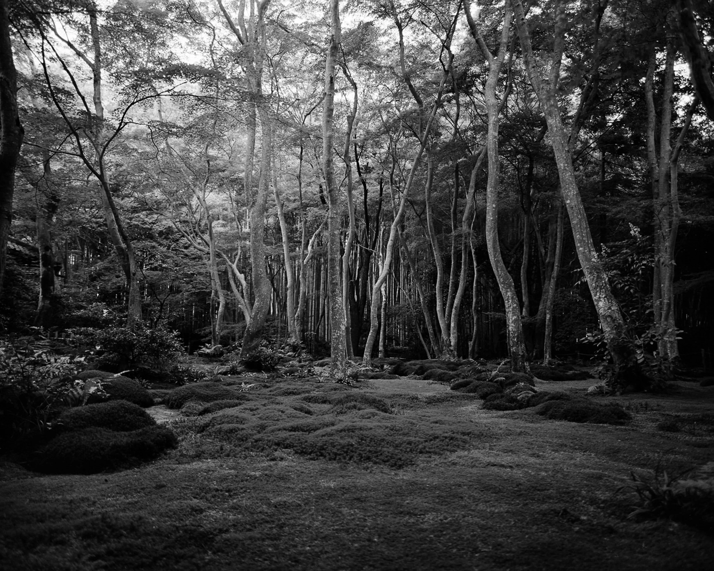 13122562-08022562-Attentes 23.jpg