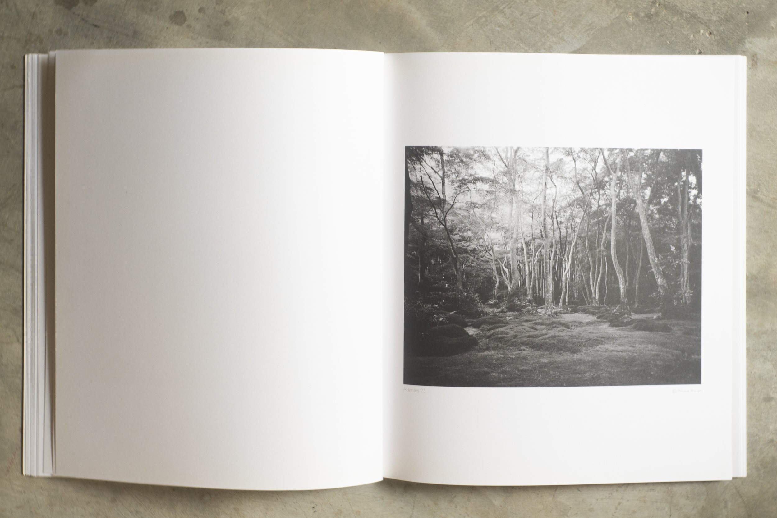 KAO YAI AVRIL 2025 -52123.jpg