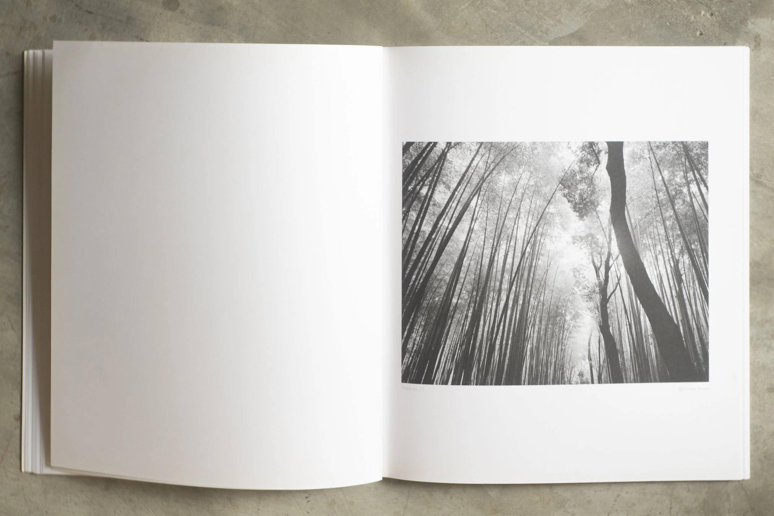 KAO YAI AVRIL 2025 -52121.jpg