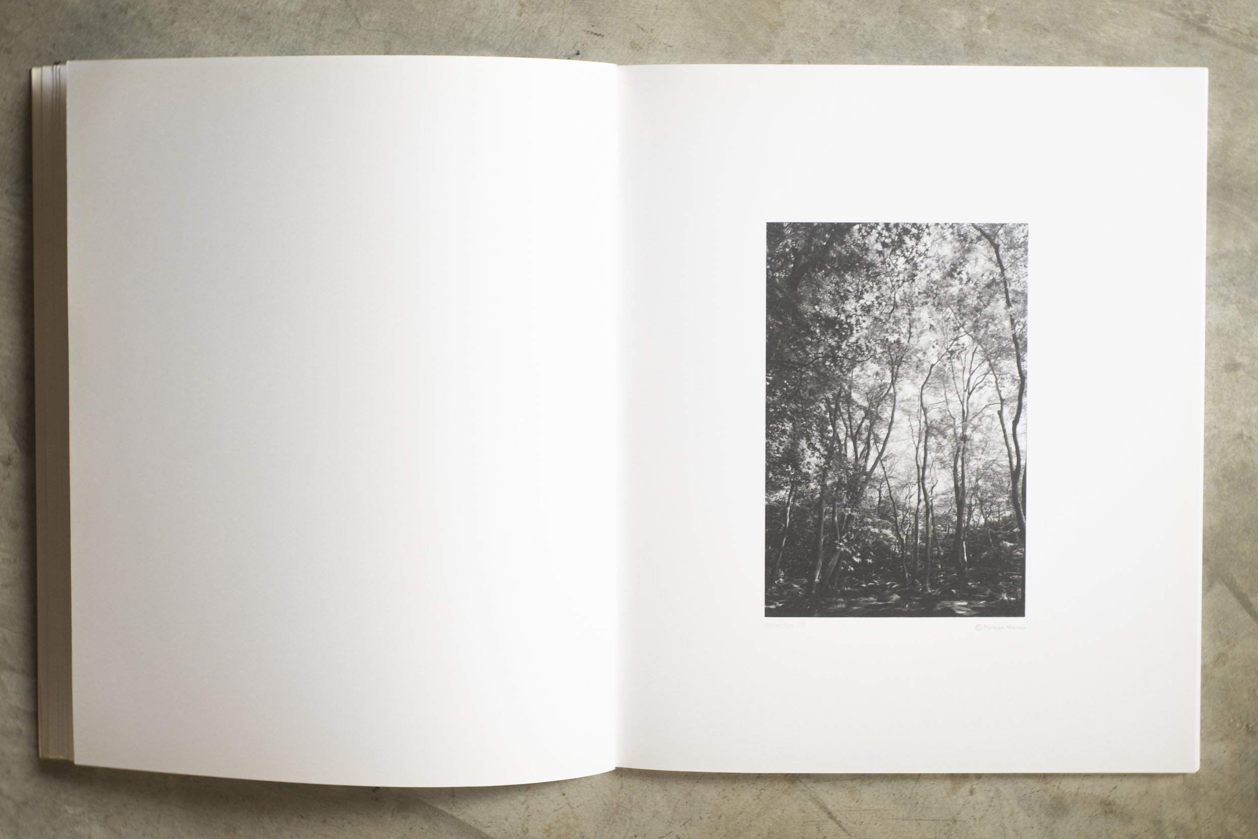 KAO YAI AVRIL 2025 -52114.jpg