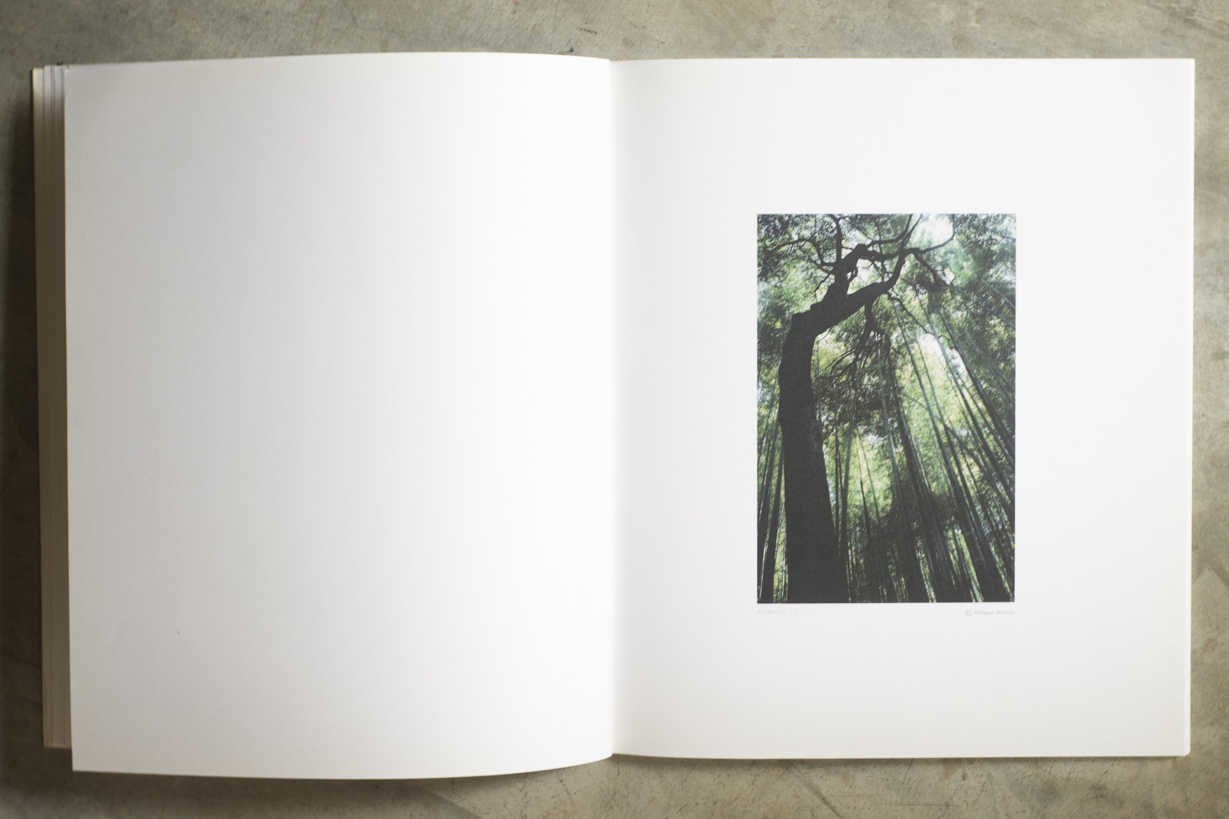 KAO YAI AVRIL 2025 -52115.jpg