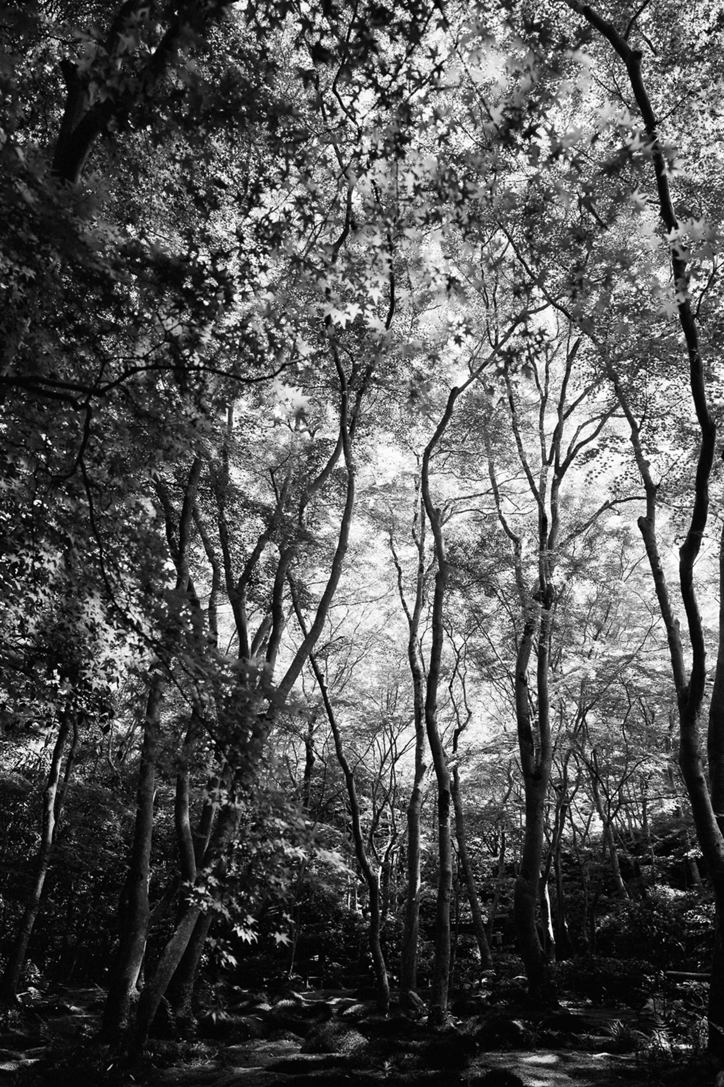 13122562-08022562-Attentes 14.jpg