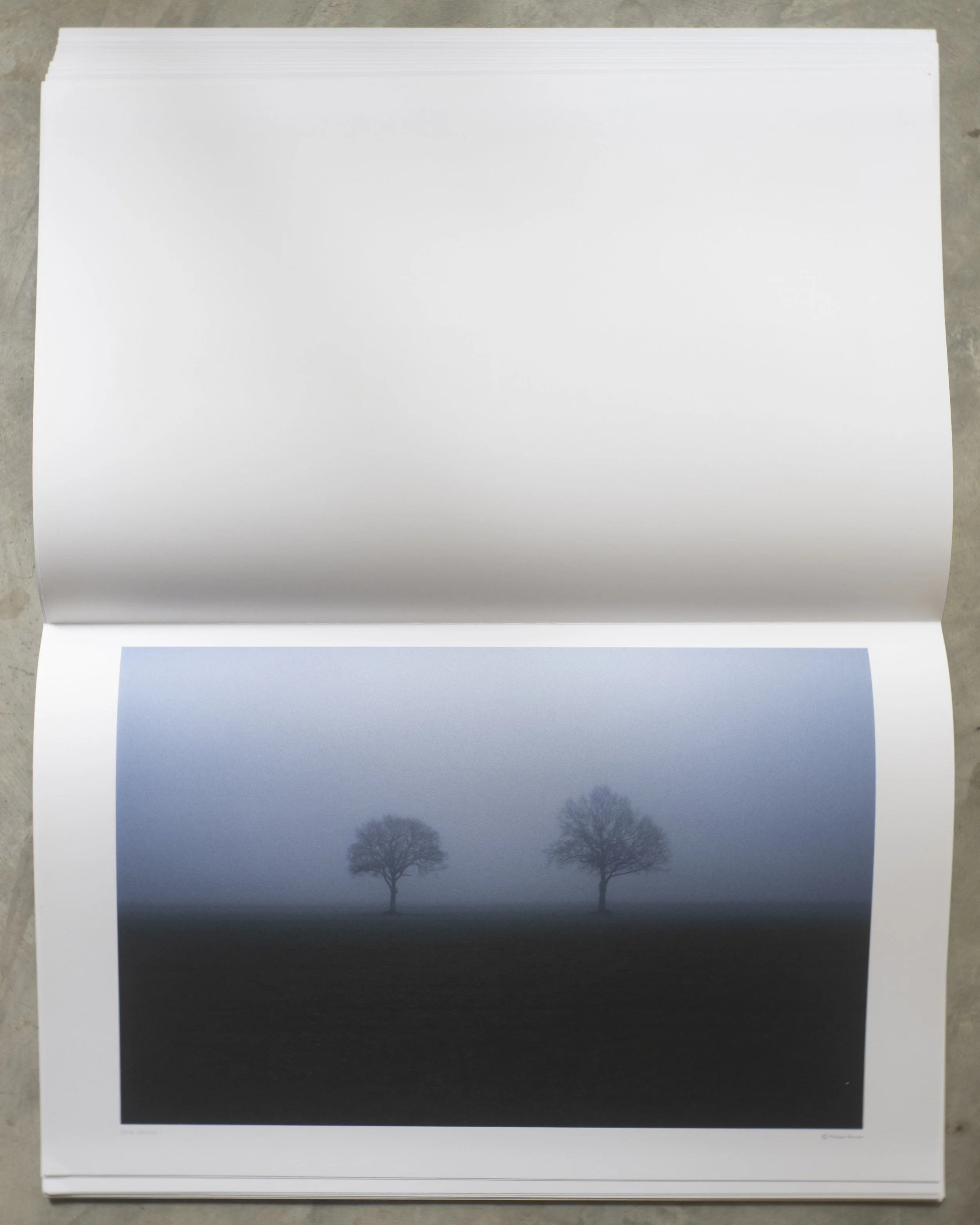 KAO YAI AVRIL 2025 -52094.jpg