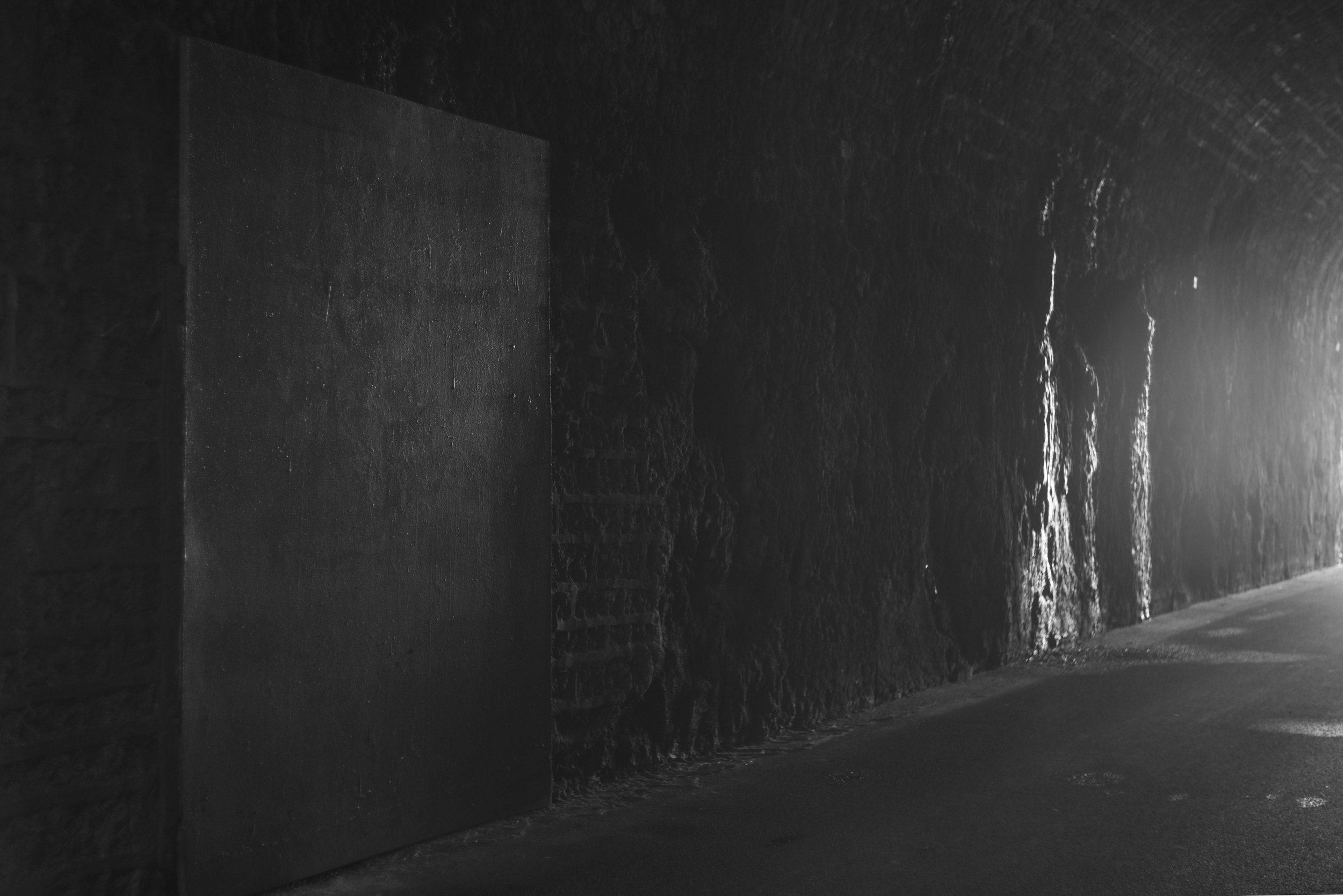 12012563-_DSC0086.jpg
