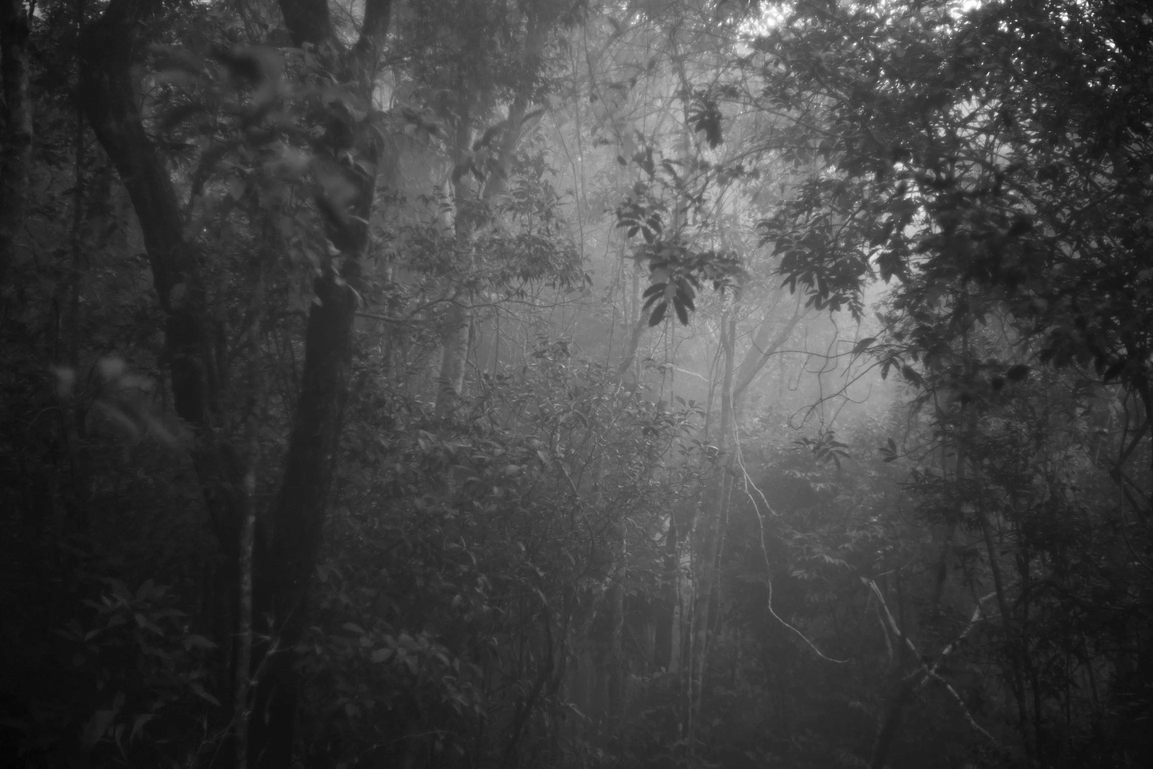 KAO YAI NOV 2025 PERFECT LEM 35 SUMM 50 -56530.jpeg
