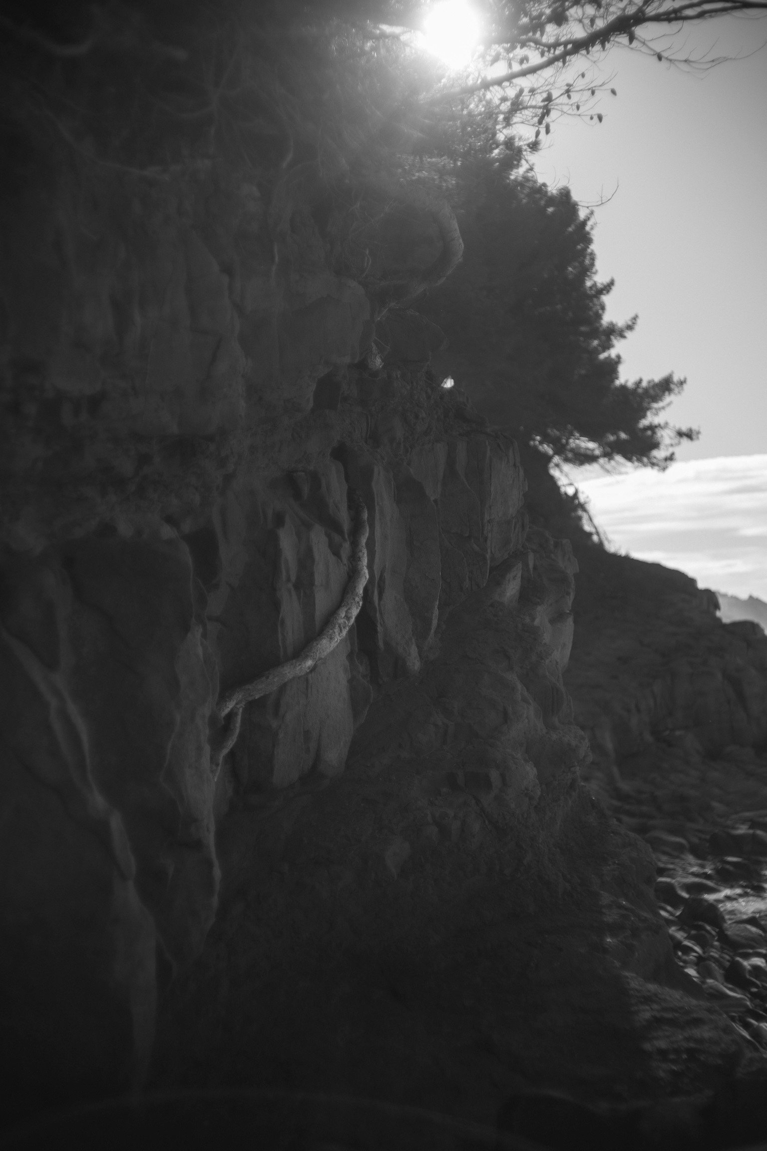France Mars 2024 Biarritz-50035.jpeg