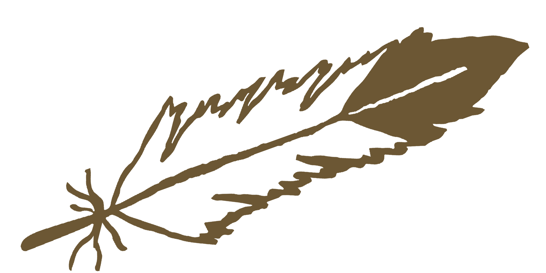 logo_eli_pericka copy.png