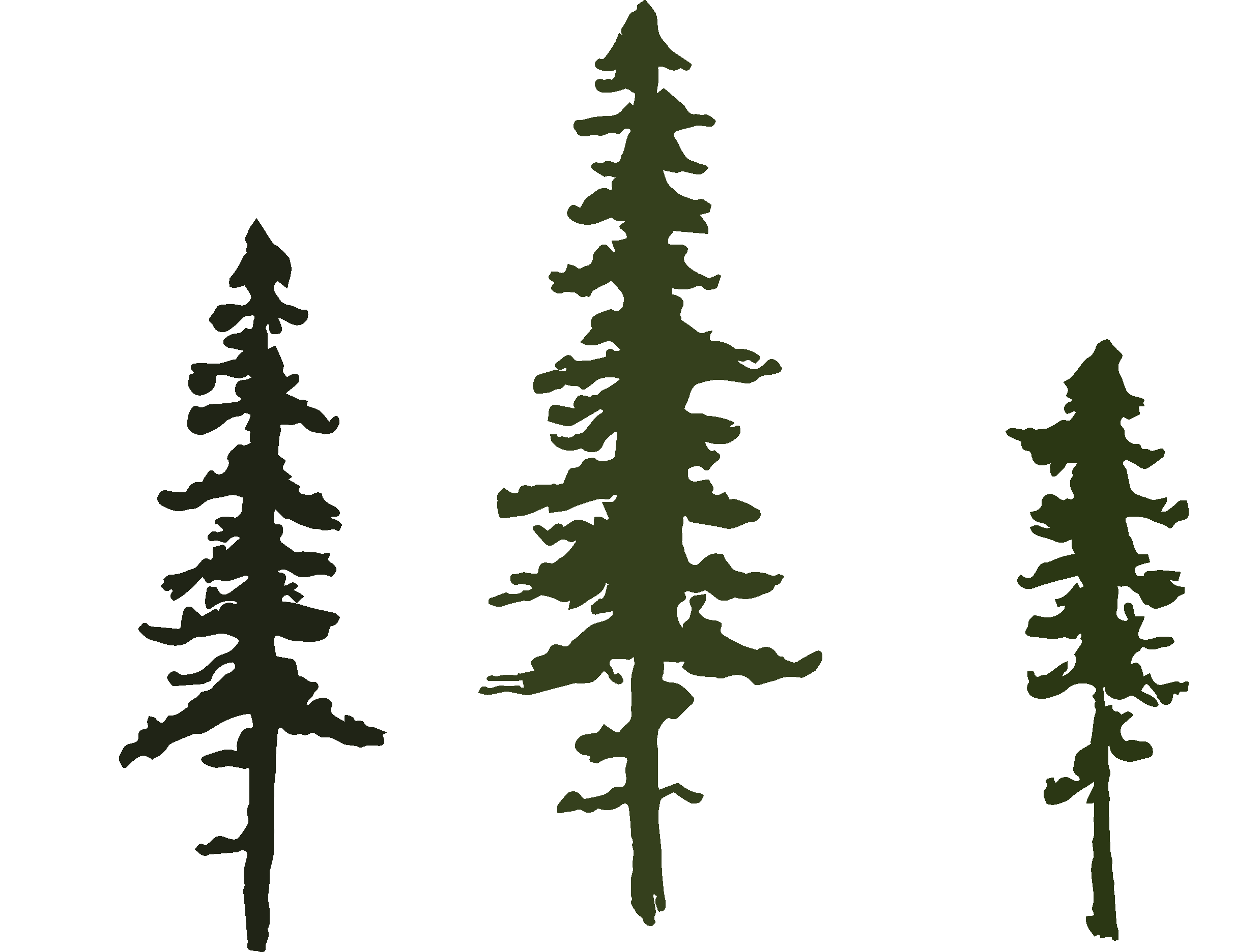 logo_eli_stromy copy.png