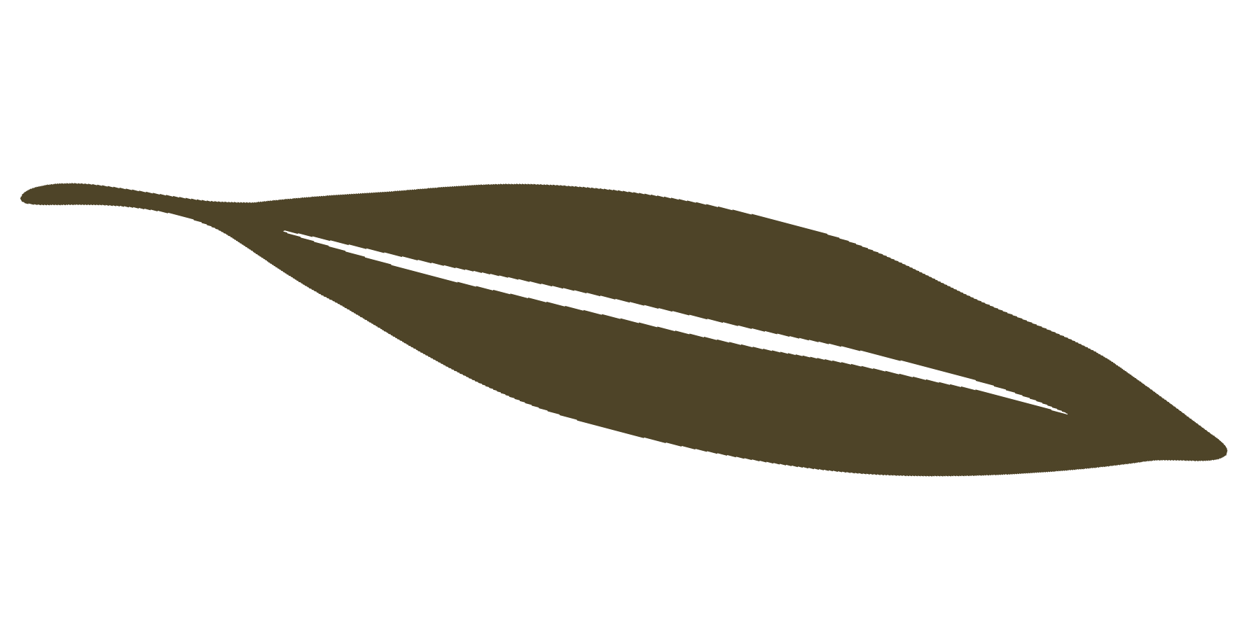 logo_eli_pericka copy 3.png