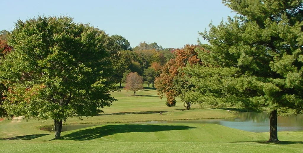 hole10tee.JPG