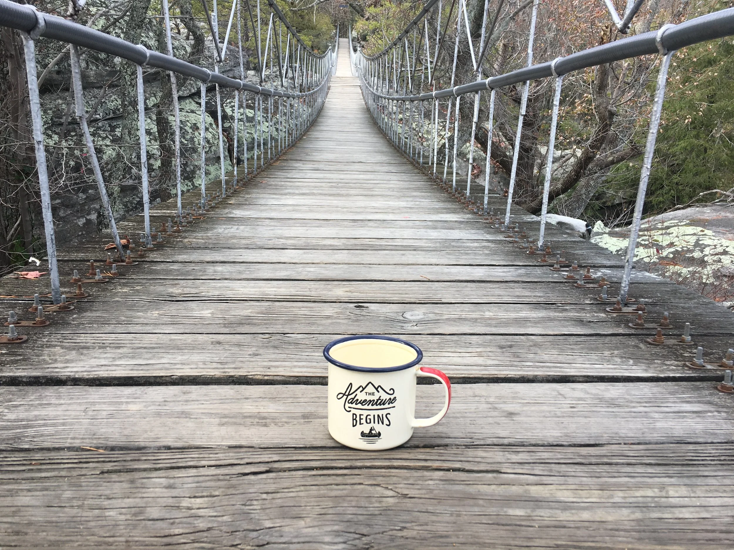 Rock City Sway Bridge, TN