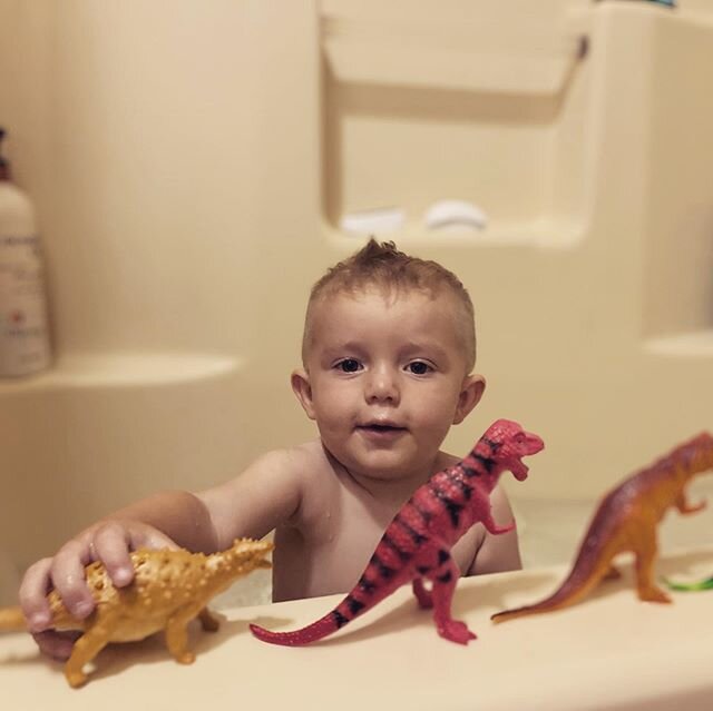 Crew baby is in the mountains and loving his new dinosaurs. #nc #auntlife