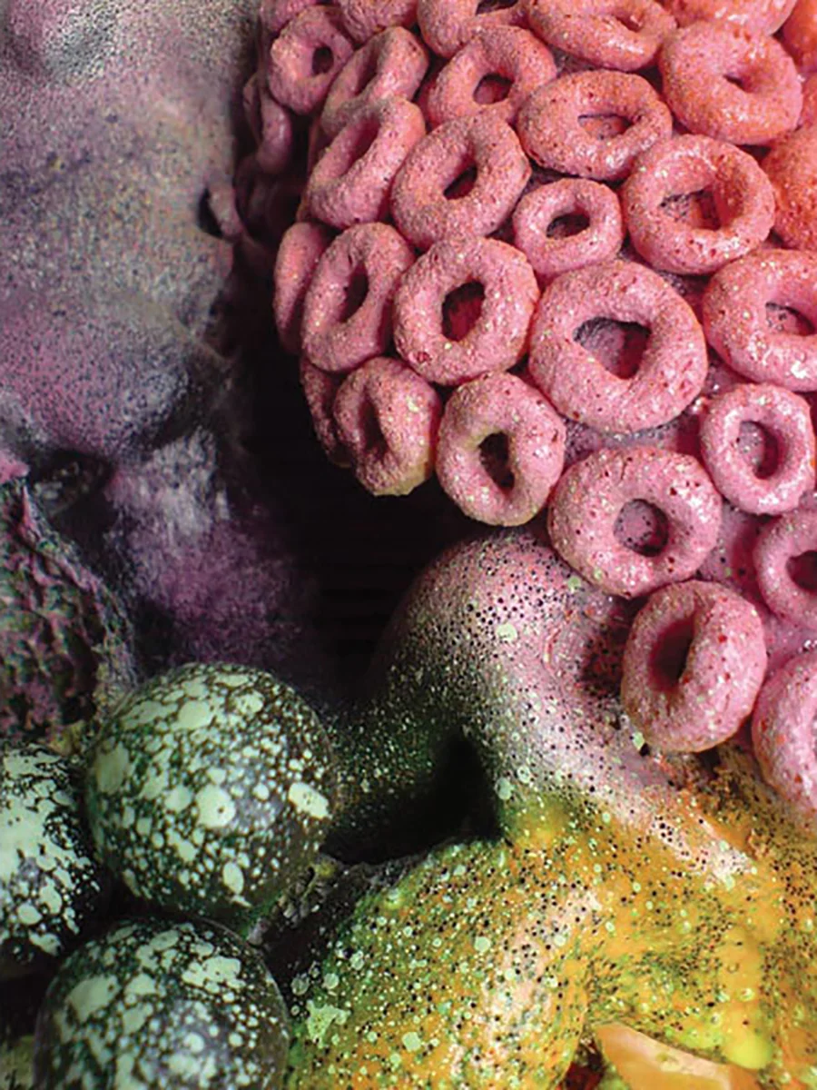 Pointer_coral_02_60.jpg