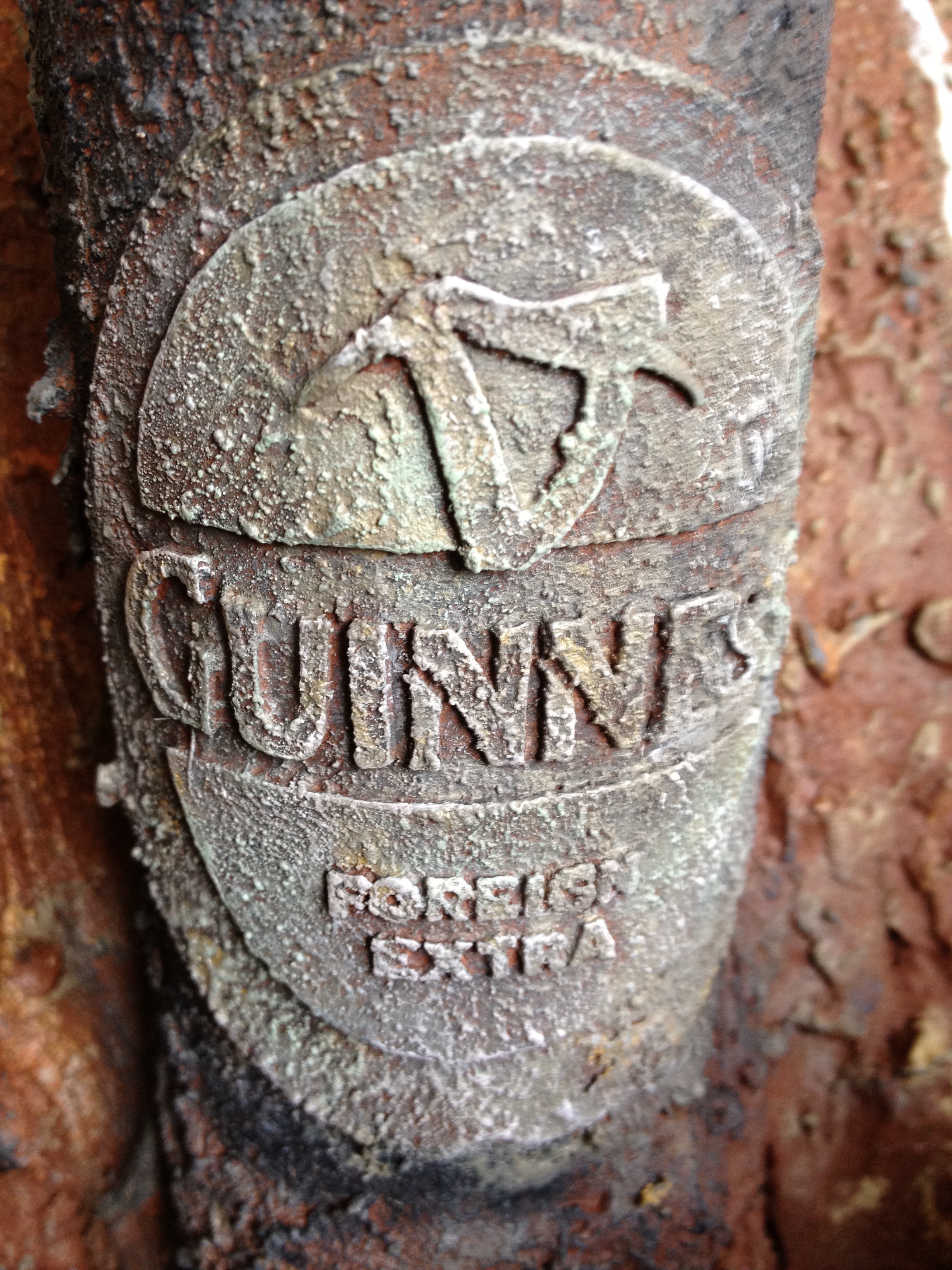 Guinness bottle