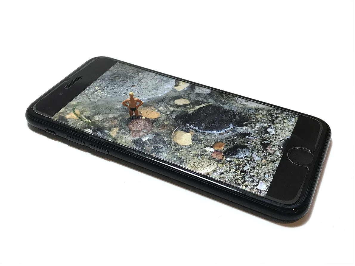 Fossil Hunter 01 72dpi.jpg