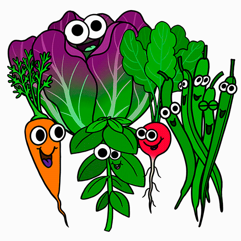 Summer-Seed-Gifs-1_1-480.gif