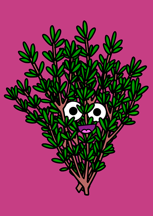 Thyme_01-0.1FR-750px.gif