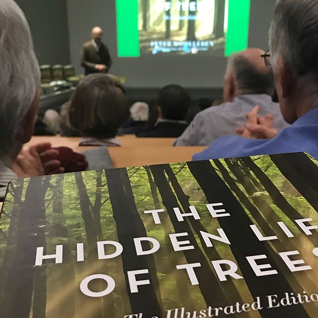 Do trees have brains? It was a real tree-t tonight to listen to Peter Wohlleben and his fascinating theories on trees and their hidden lives. 🌲 🌳 🤔#peterwohlleben #trees #kewgardens