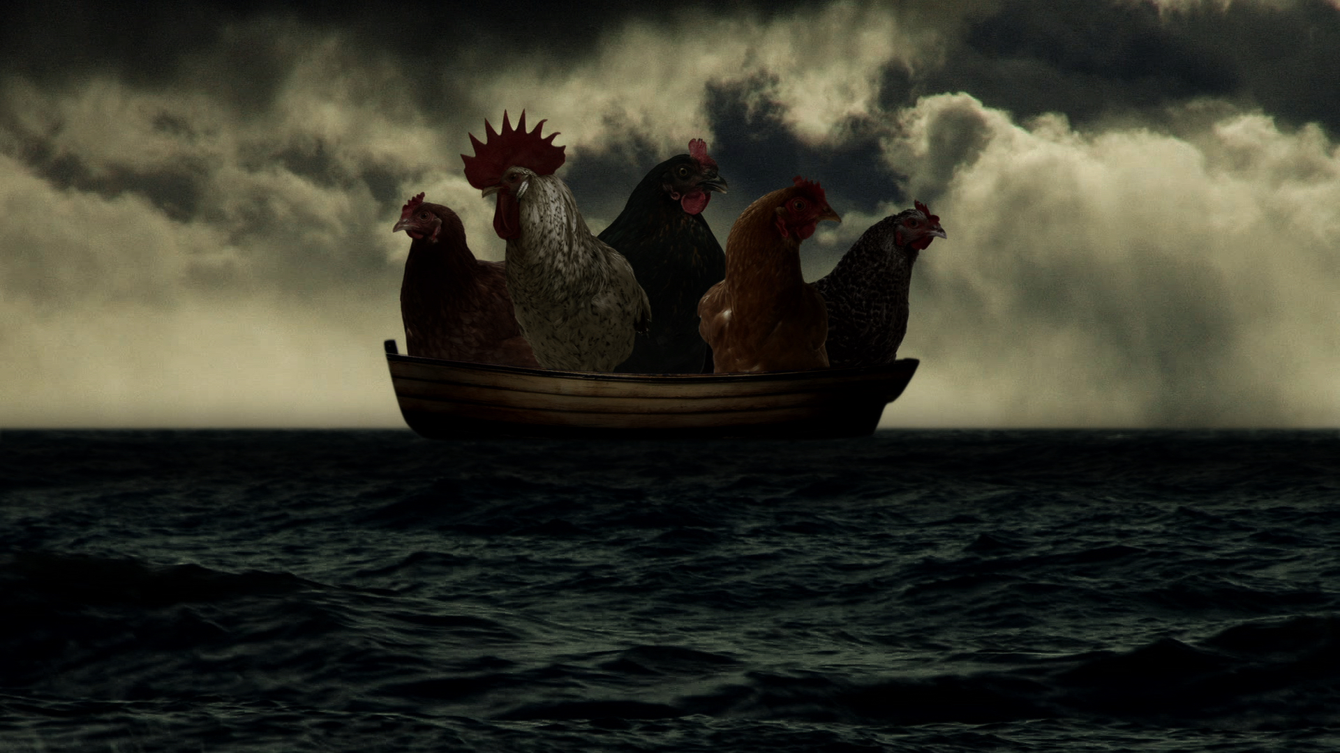 The Anatomical Universe-Chickens in Boat.jpg