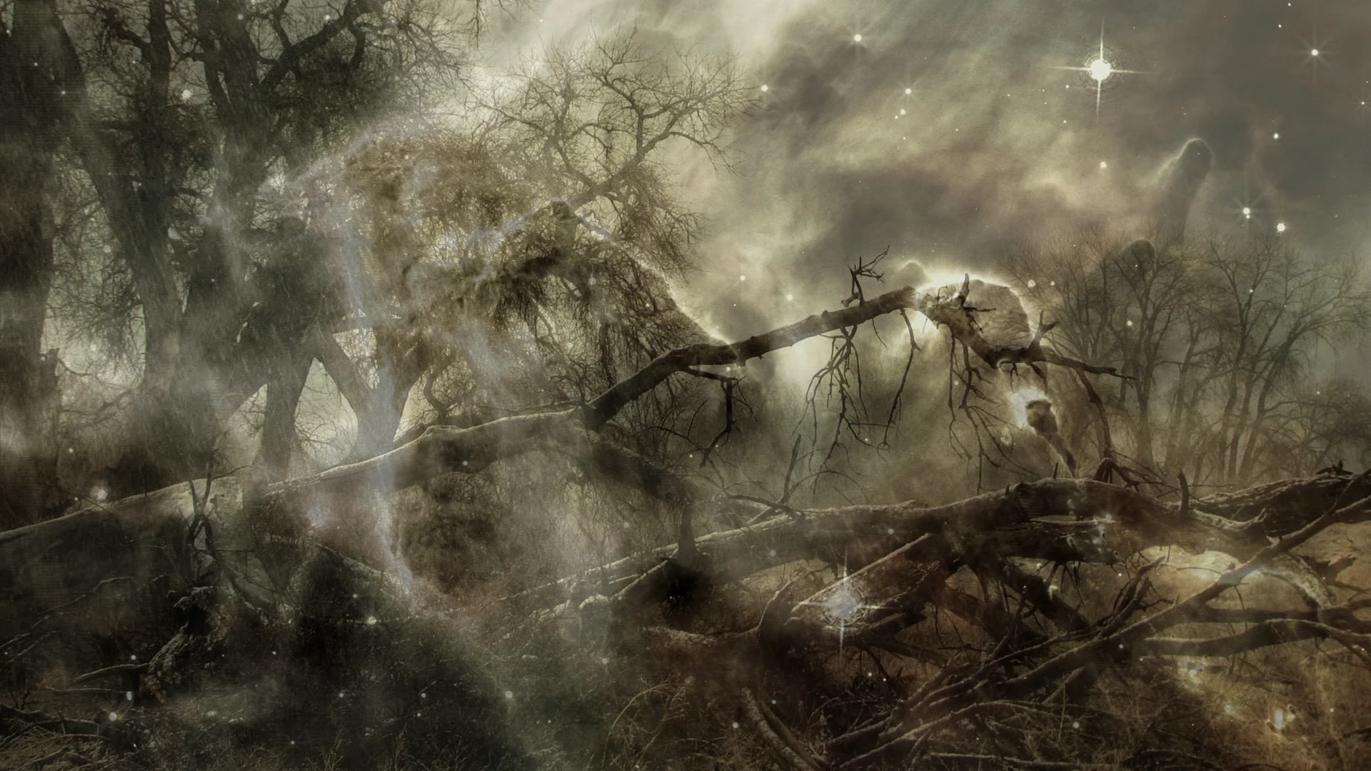 The Anatomical Universe-Tree and Space.jpg