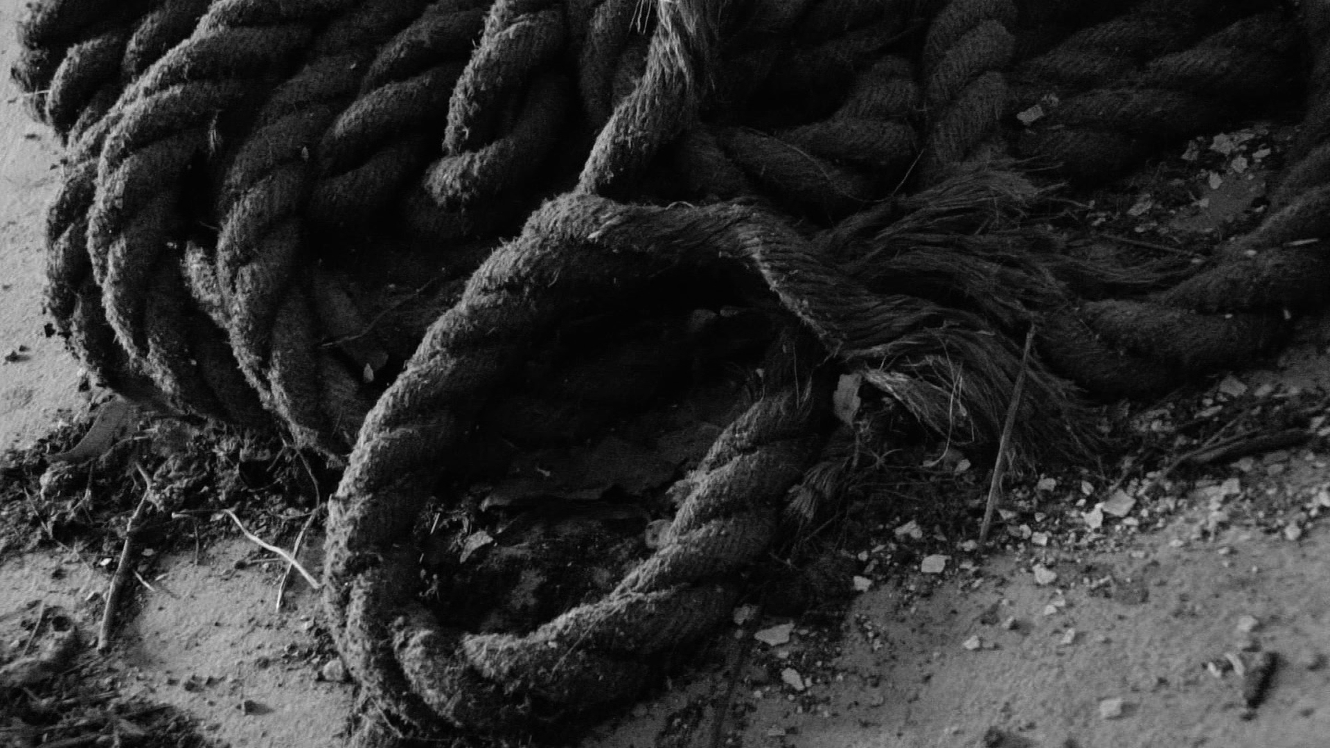 TAPE 2-13111-20 rope no.jpg