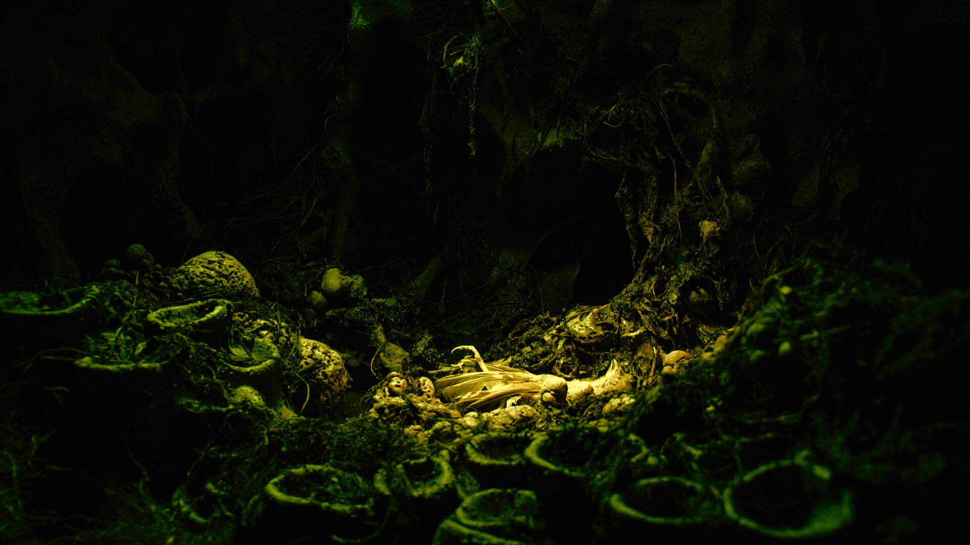 Stills- Green Cave with Bird.jpg