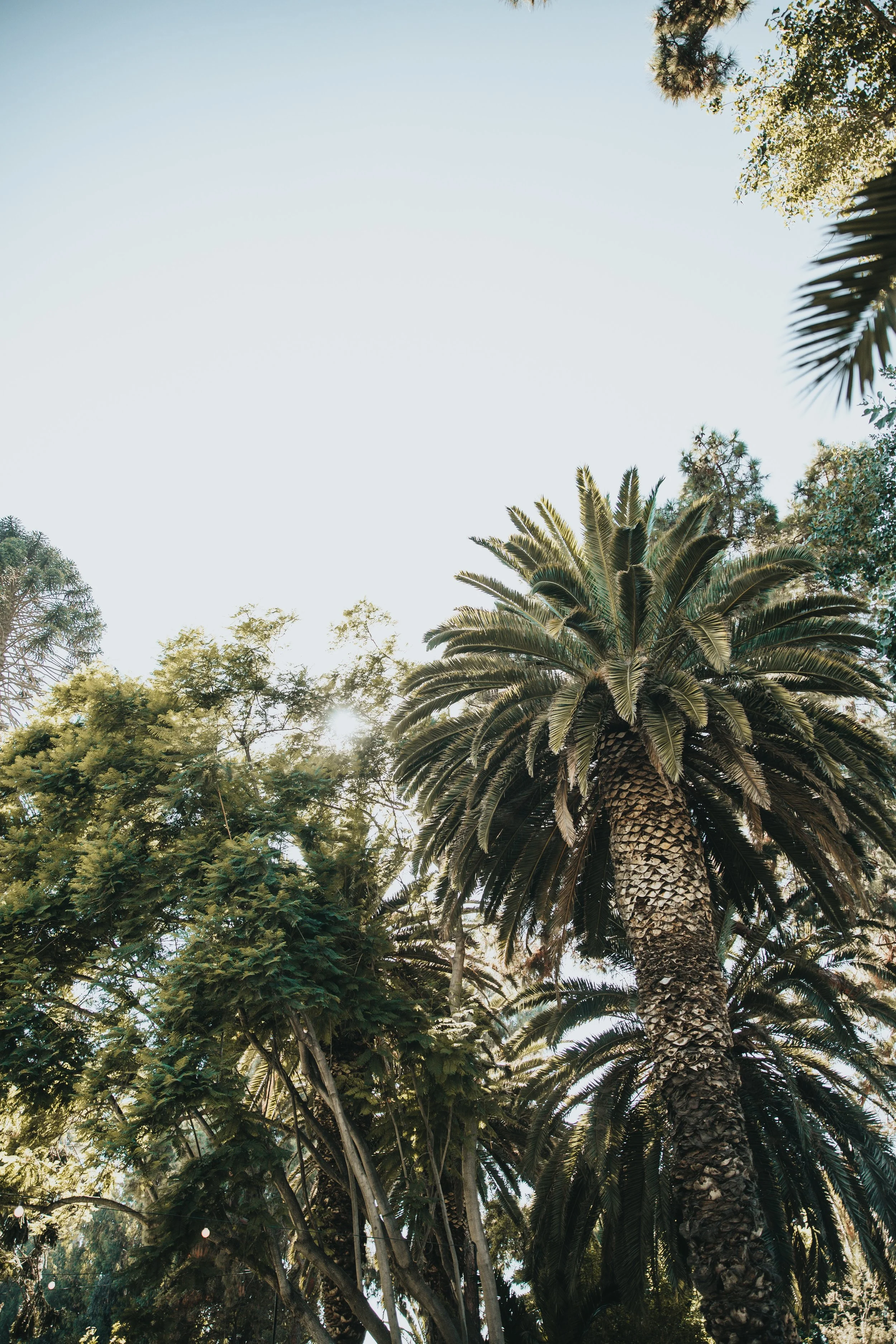 nathan-dumlao-1218982-unsplash.jpg