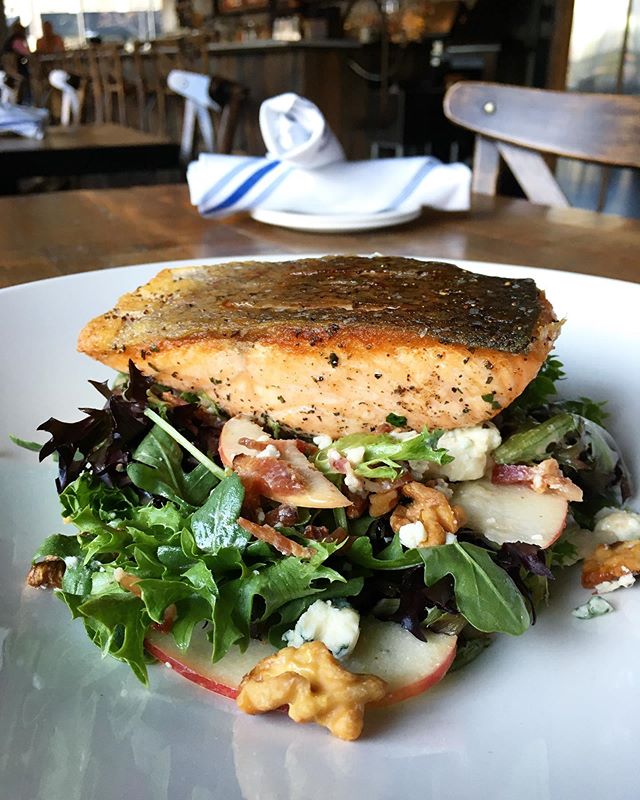 Salmon &amp; Salad (read: Mixed Greens, Bacon, Walnut, Blue Cheese, Apples, Cranberry Maple Vinaigrette) ((read: 🤤)) #salmon #salad #autumnvibes🍁