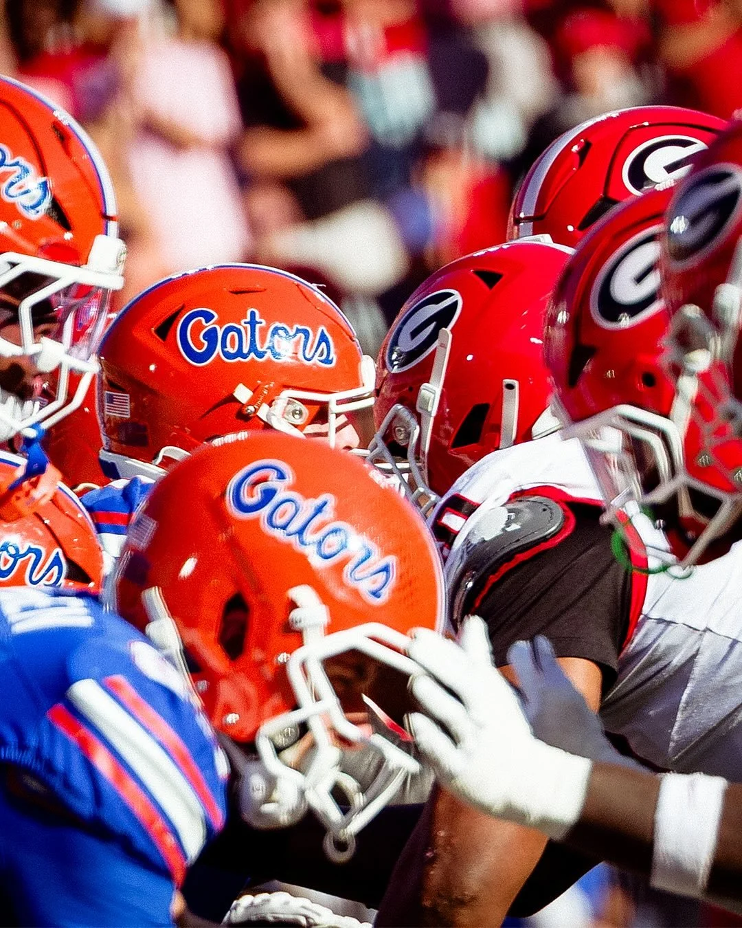 The 104th edition 🐊🐾

📸: @cushingcreations