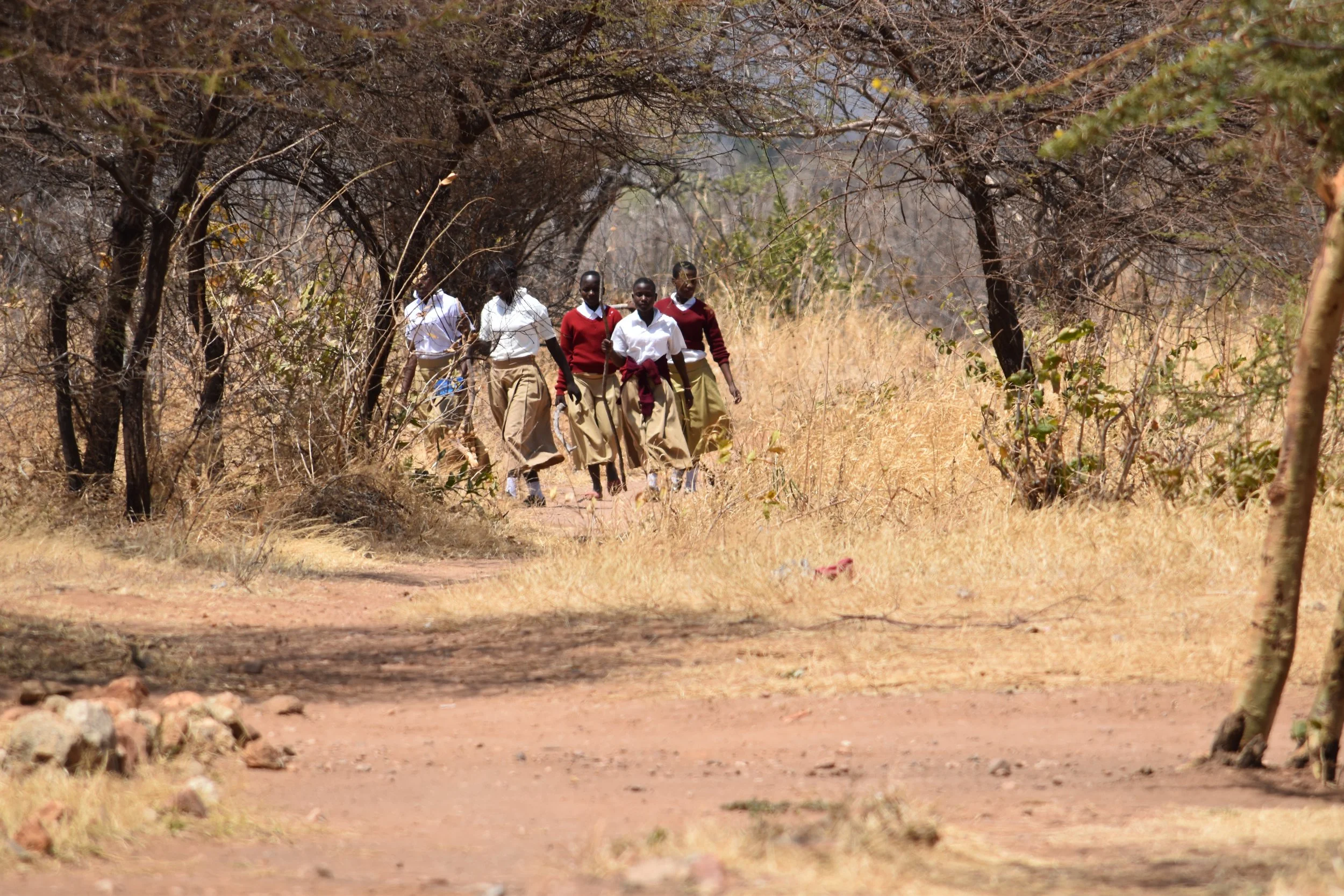 Lyra in Africa - Head of Operations