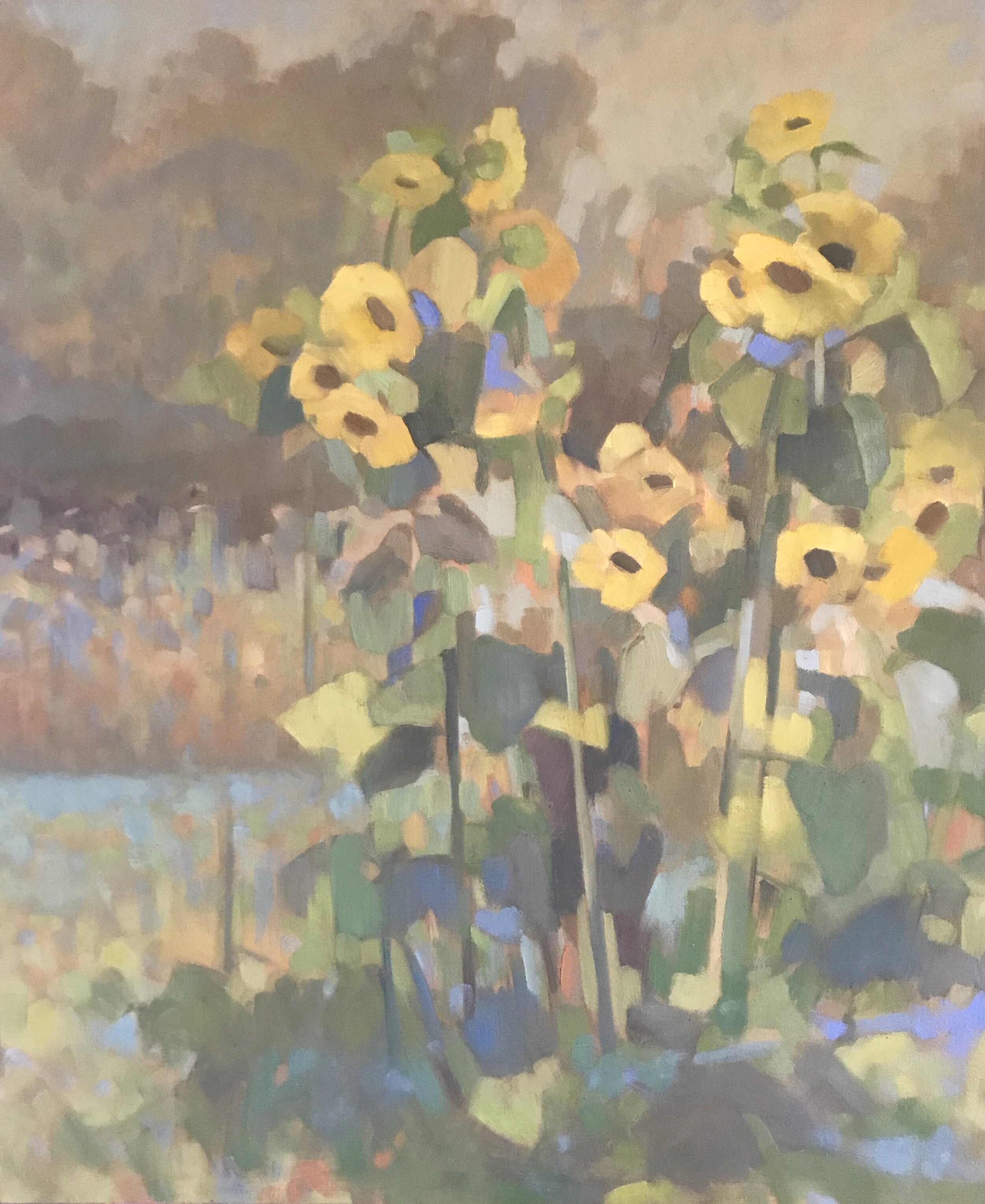 Hinterland Sunflowers.jpeg