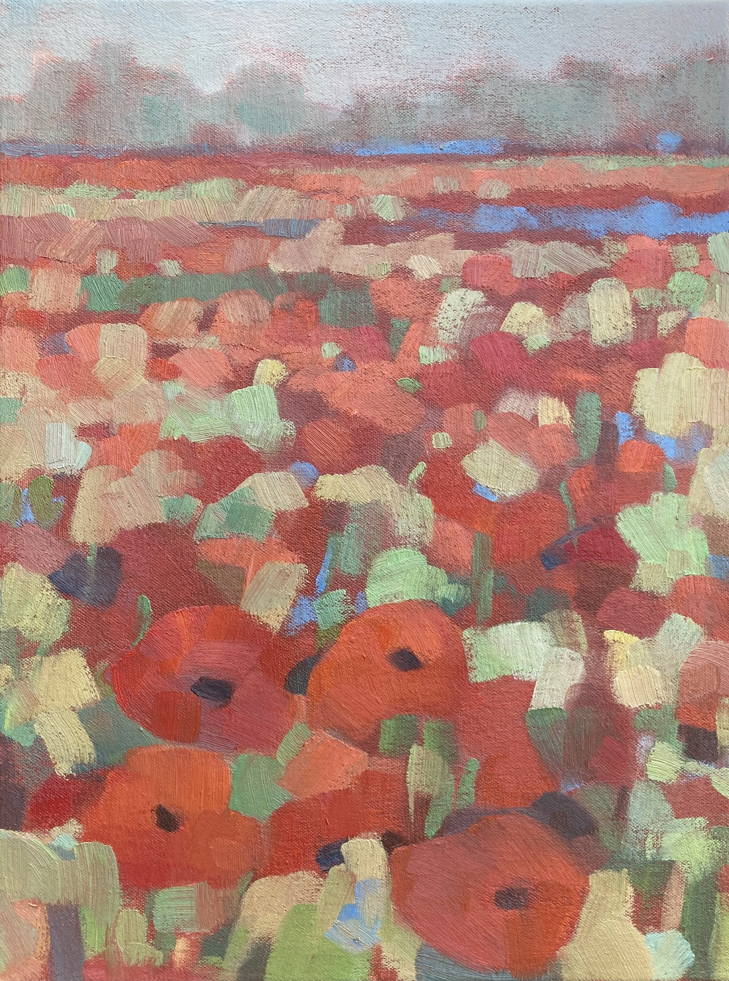 Poppy Field V 12 x 16 Emily Alsip.JPG