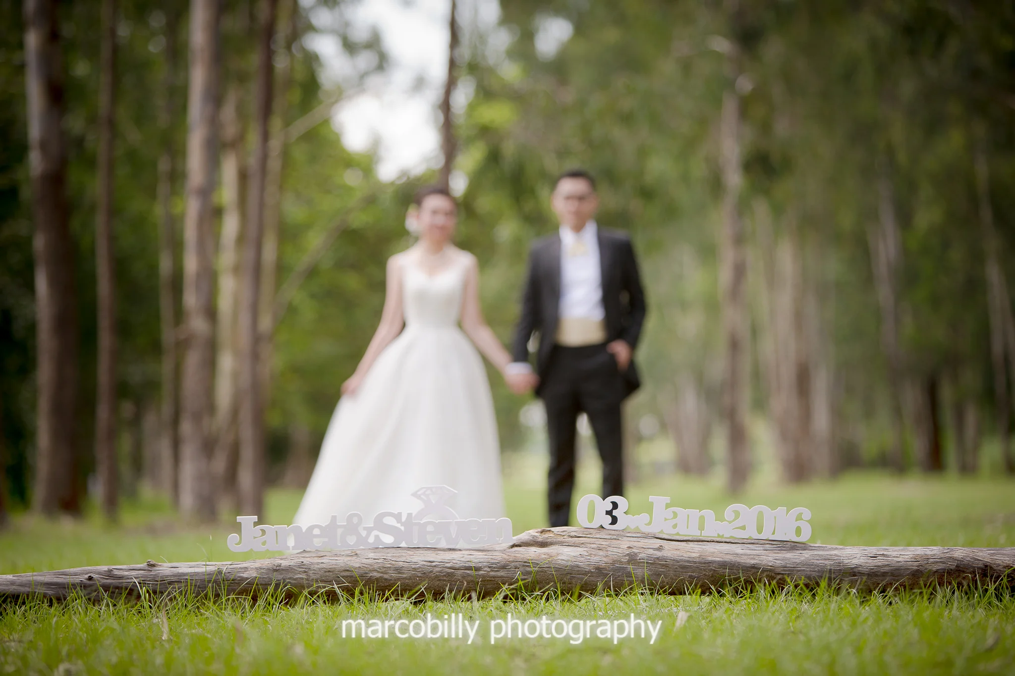 Janet & Steven watermark-12.jpg
