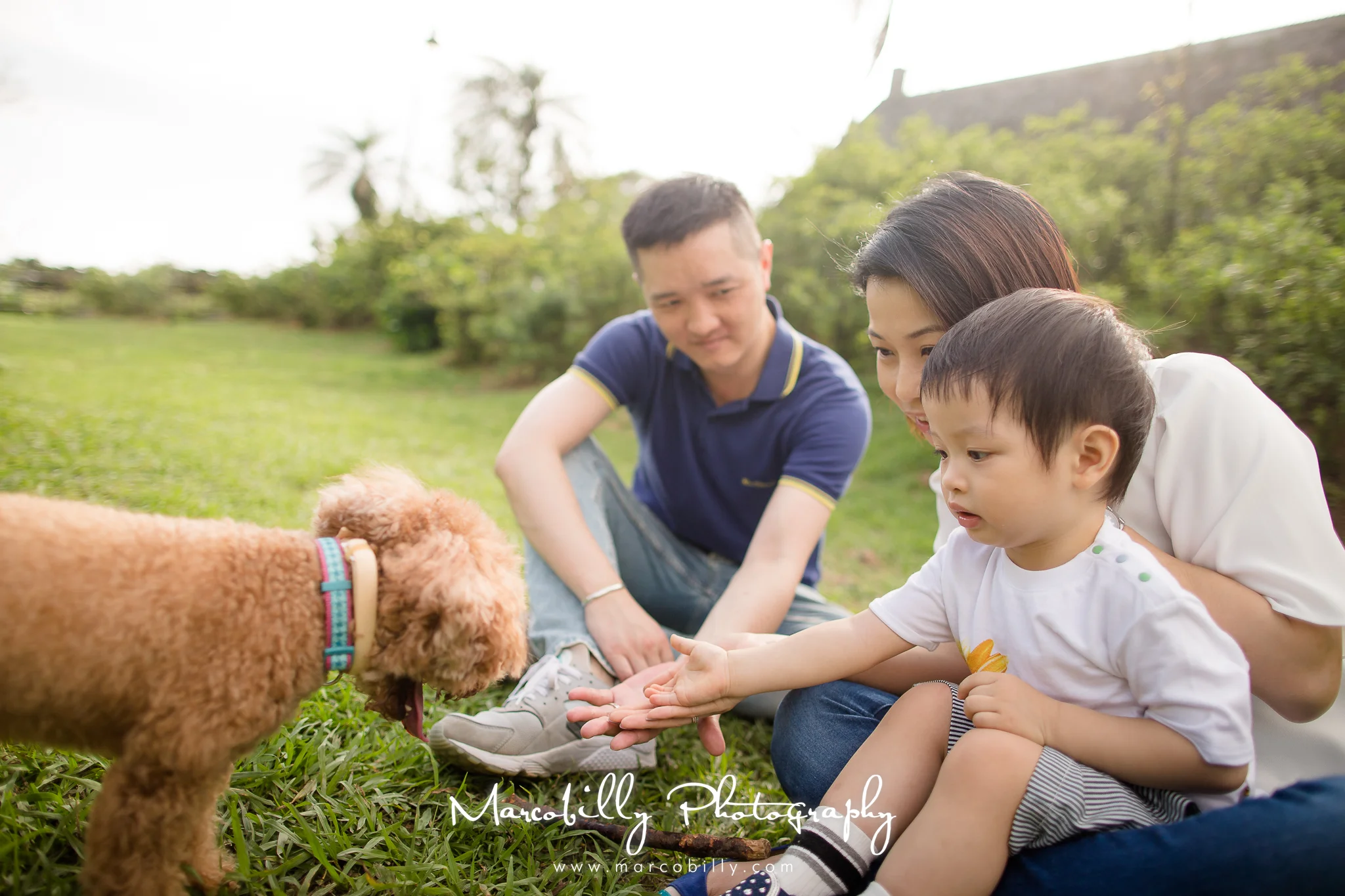 Candy Family Watermark-6.jpg