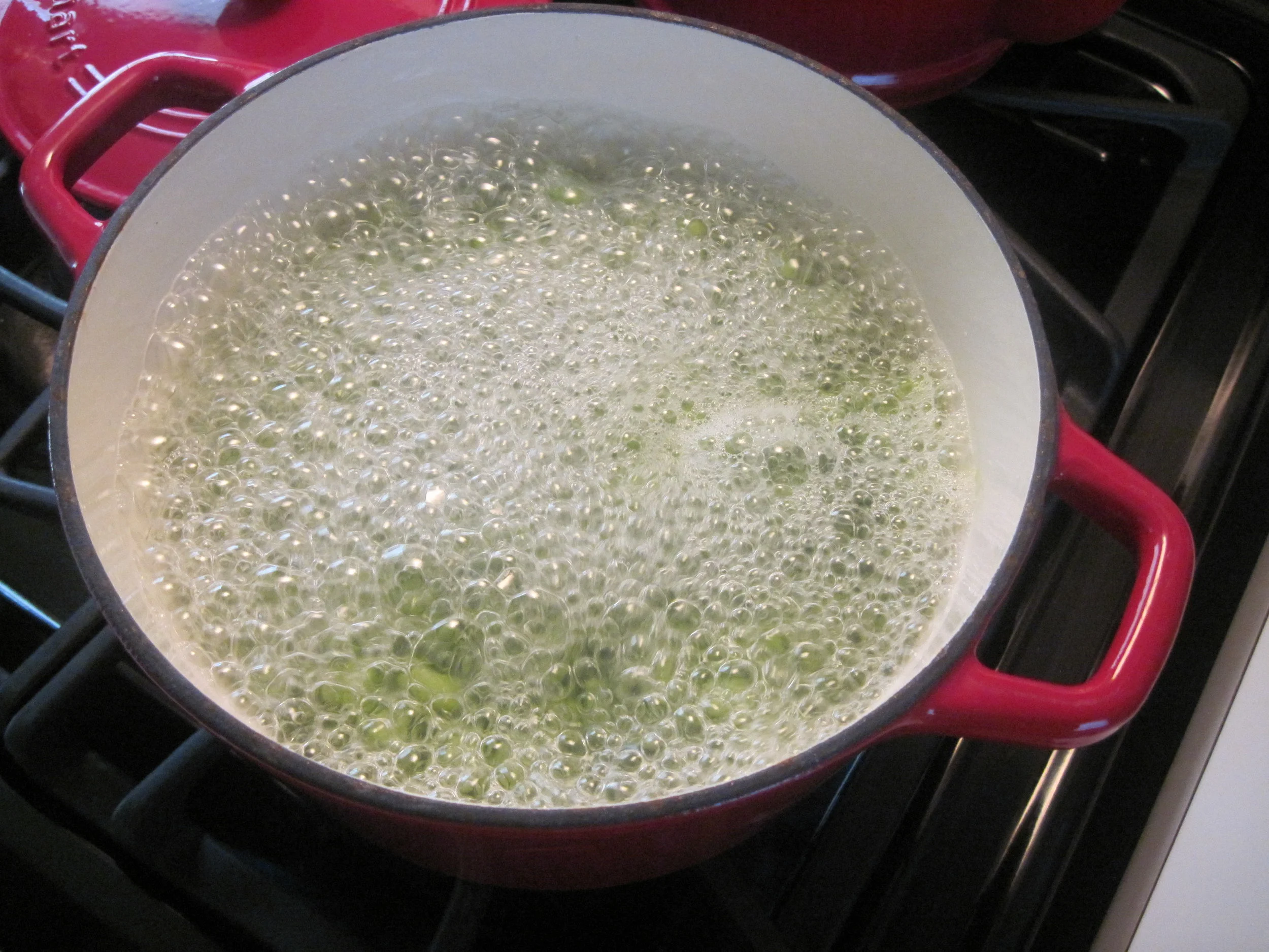 Blog Pictures 036