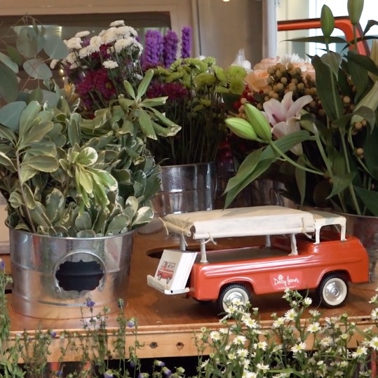 Daisy Jane’s Flower Truck takes off as new local business