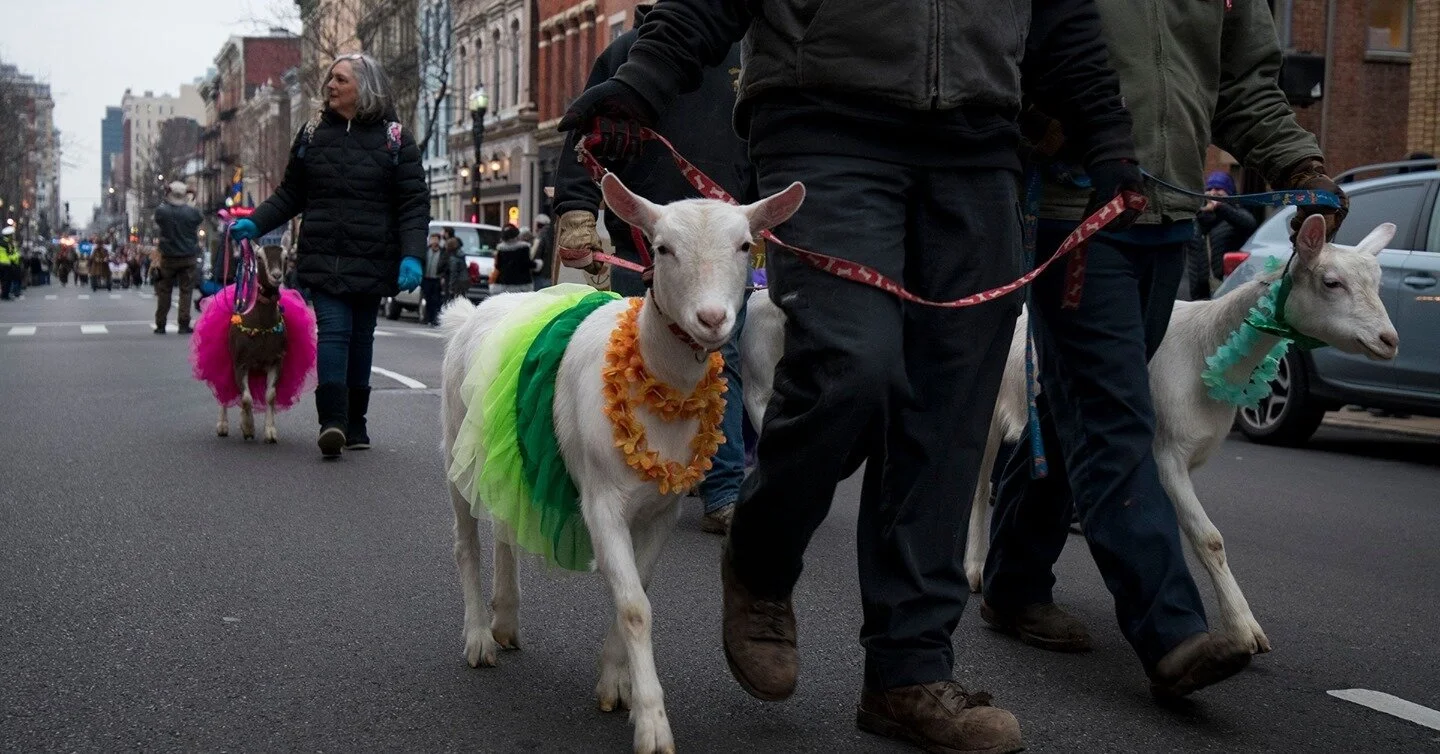 Go 'Bock to the Future' with photos from the 2019 parade as you get ready for this weekend's #Bockfest celebration. 
https://bit.ly/38raP8z
