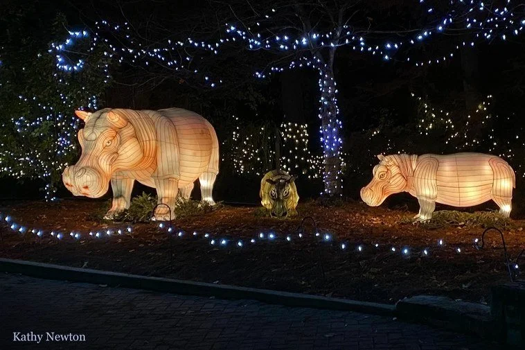 Merry and Bright
