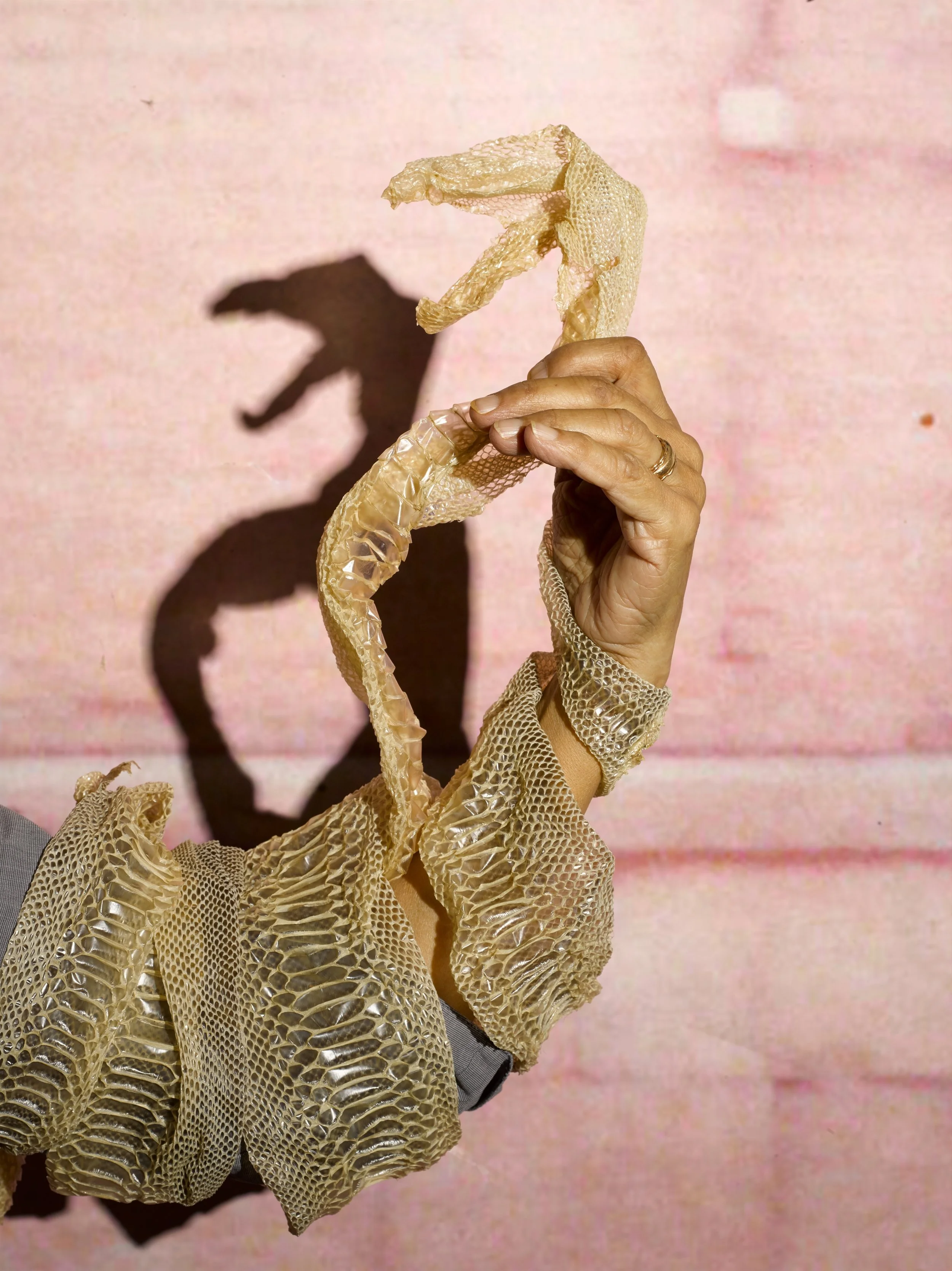 Sheida Soleimani